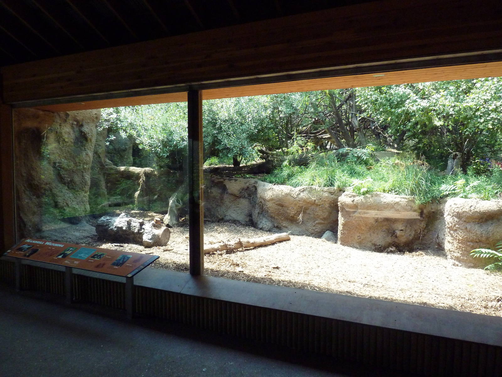Primate Panorama - Mandrill Exhibit