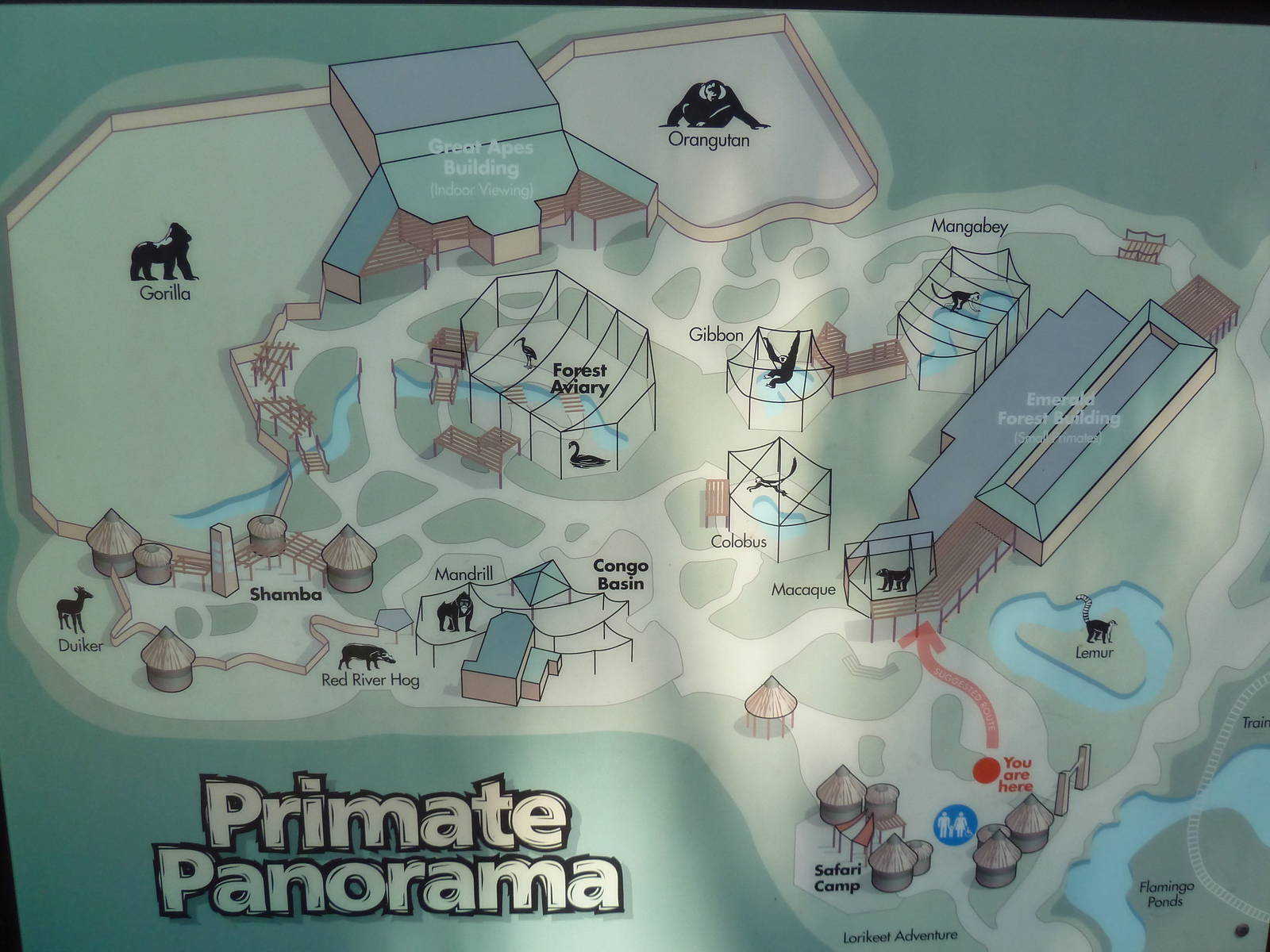 Primate Panorama - Map (7-Acres of Apes, Monkeys and Lemurs)