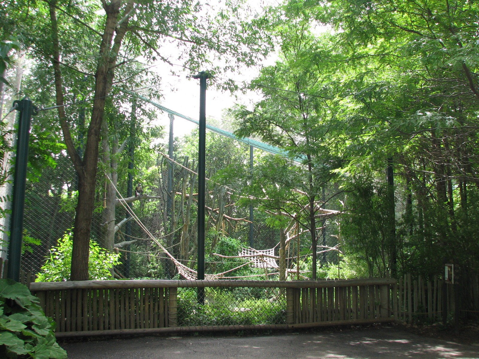 Primate Panorama - Monkey Exhibit