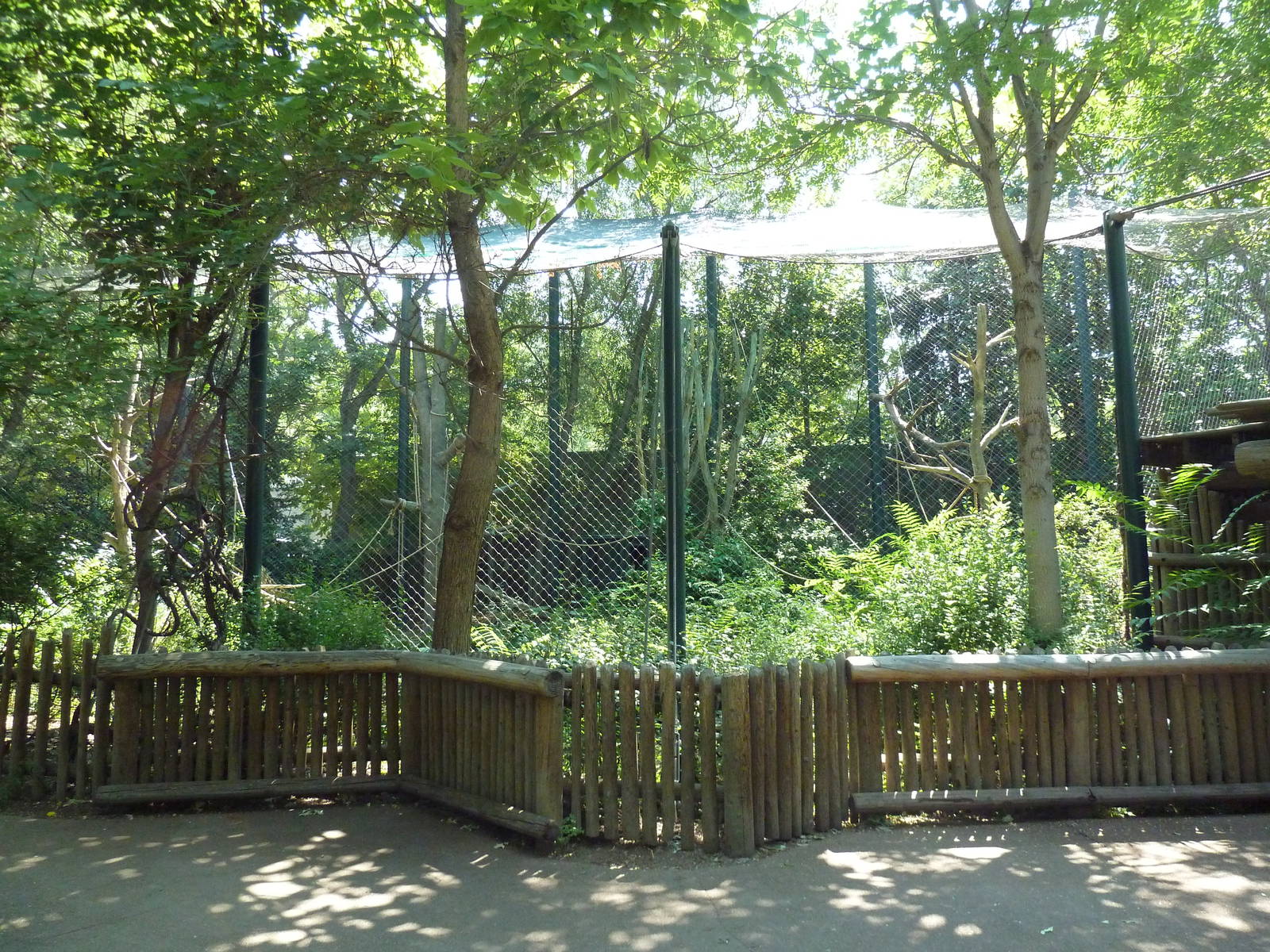 Primate Panorama - Red-Crowned Mangabey Exhibit