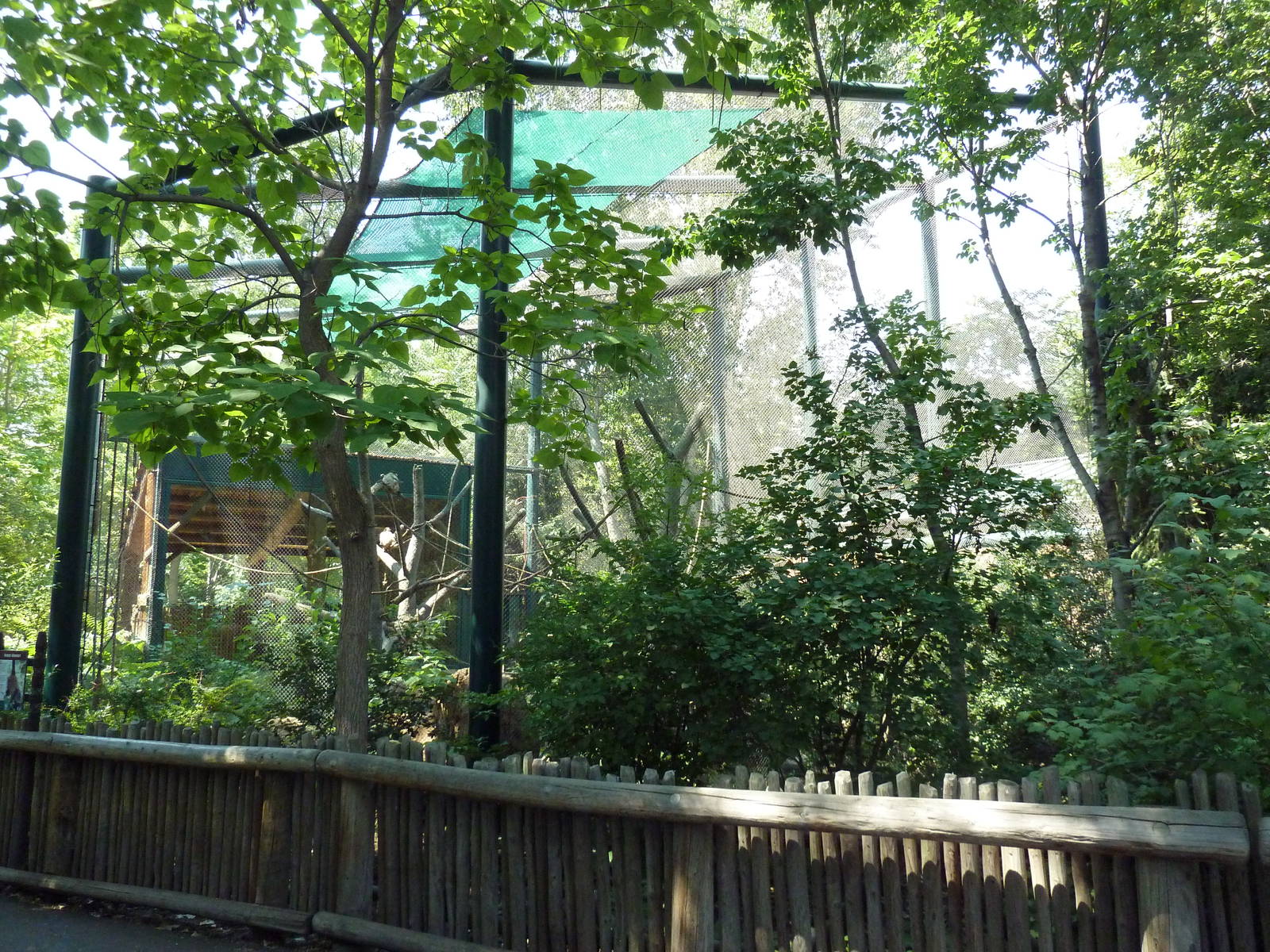 Primate Panorama - Spider Monkey/Giant Anteater Exhibit