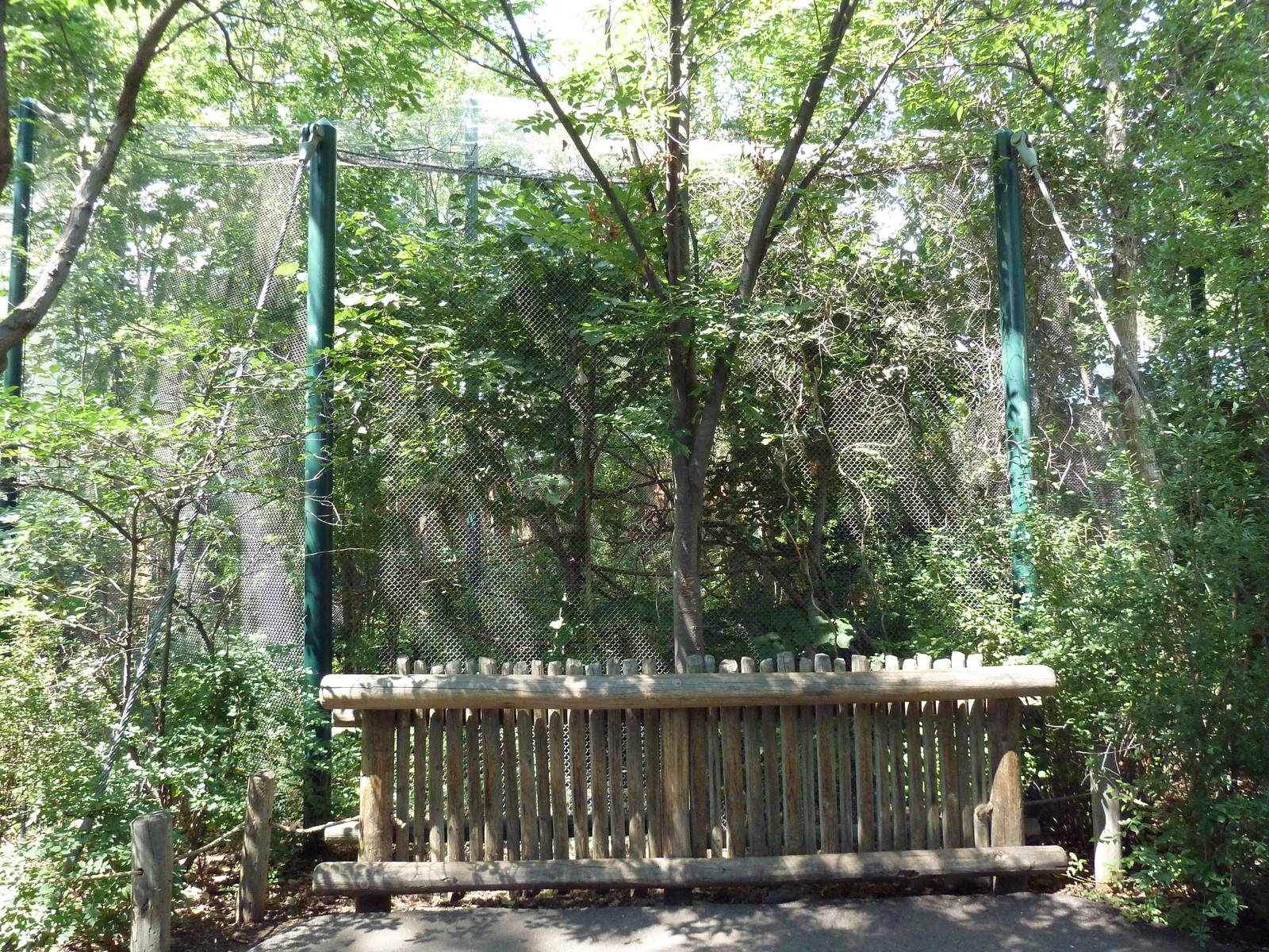 Primate Panorama - Squirrel Monkey Exhibit