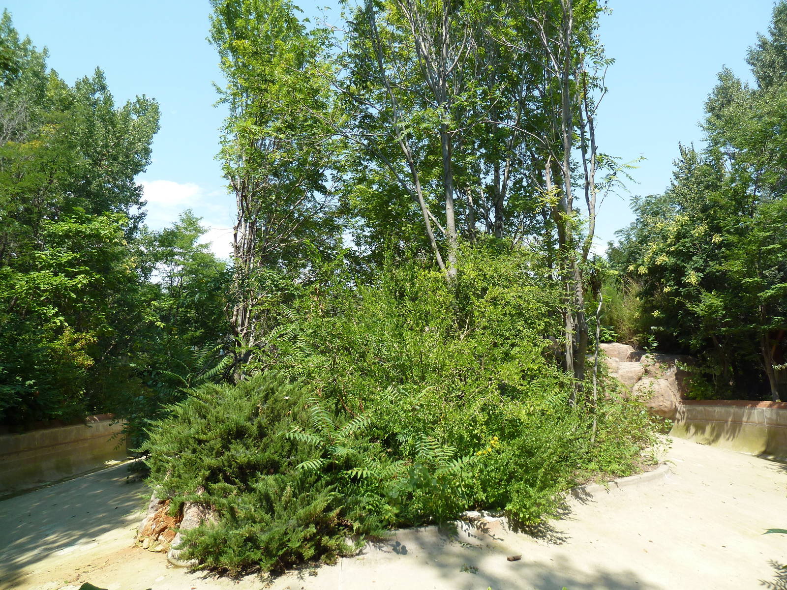 Primate Panorama - White Collared Brown Lemur/Red Ruffed Lemur Exhibit