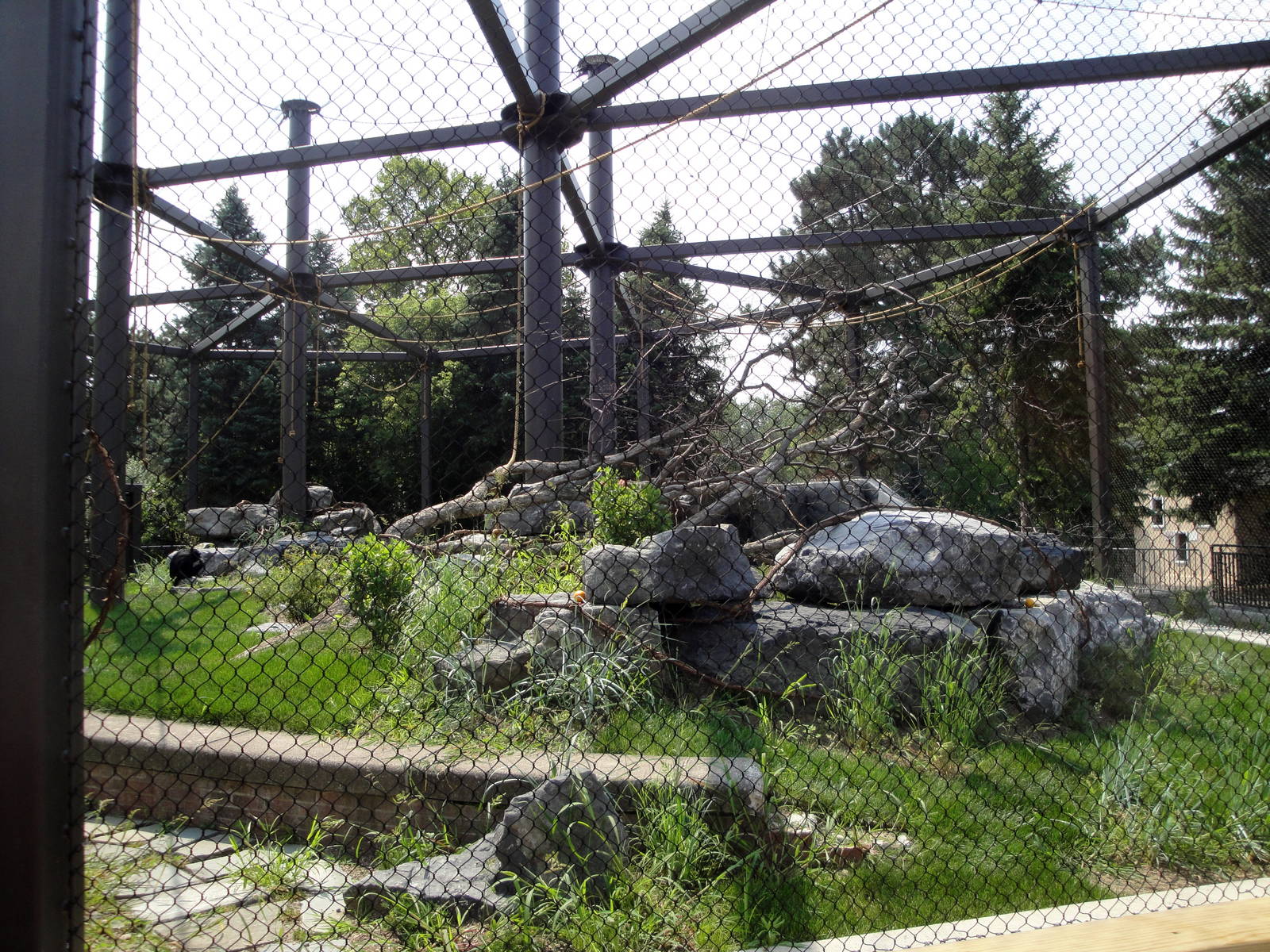 Primate Park