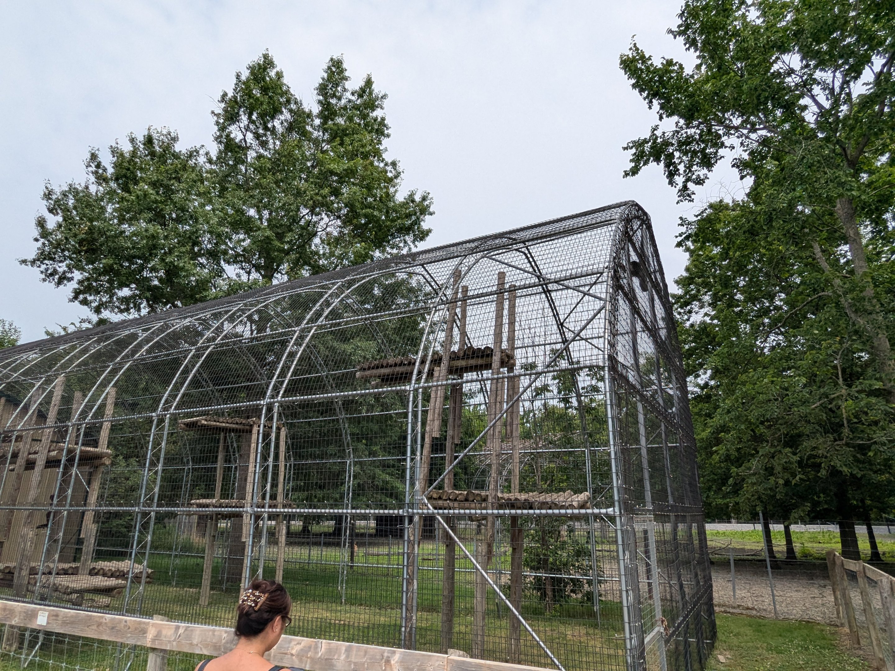 Primate Path - Lars gibbon