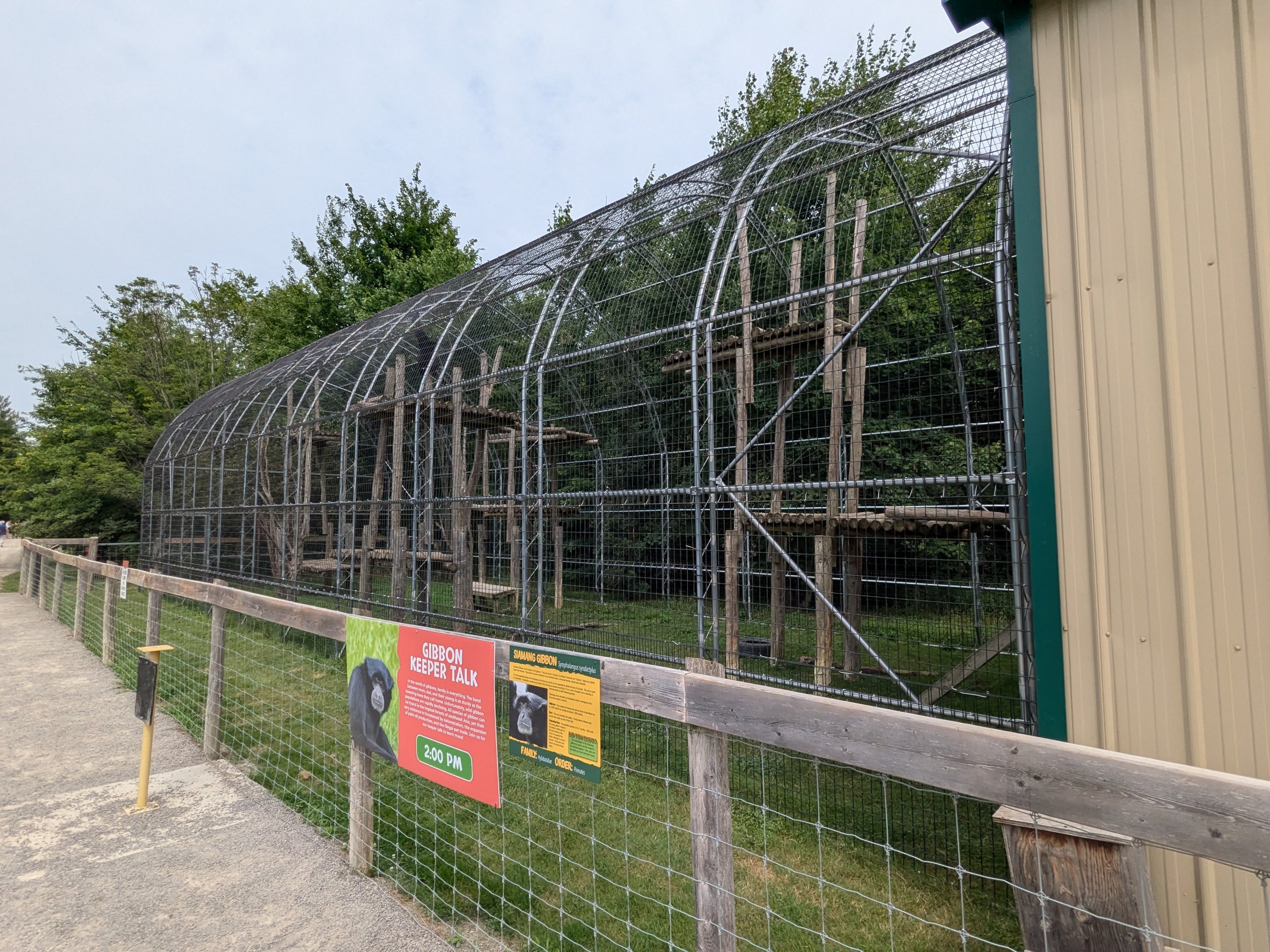 Primate Path - Siamang #1