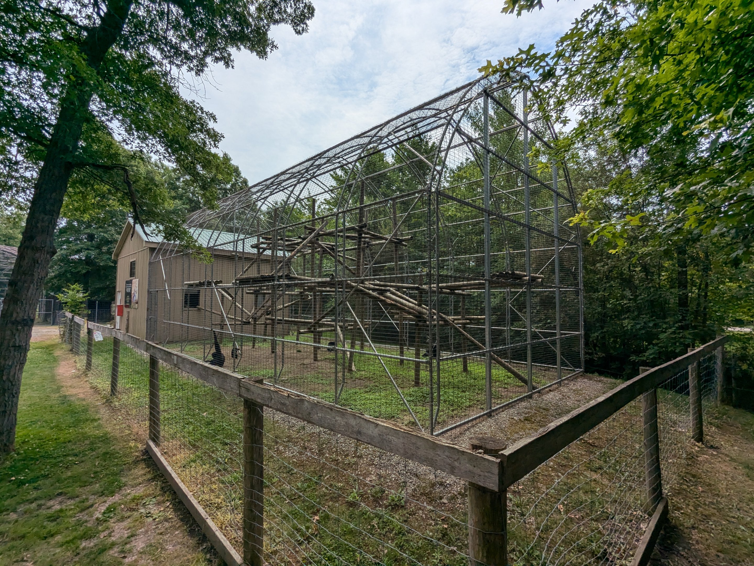 Primate Path - Siamang #2