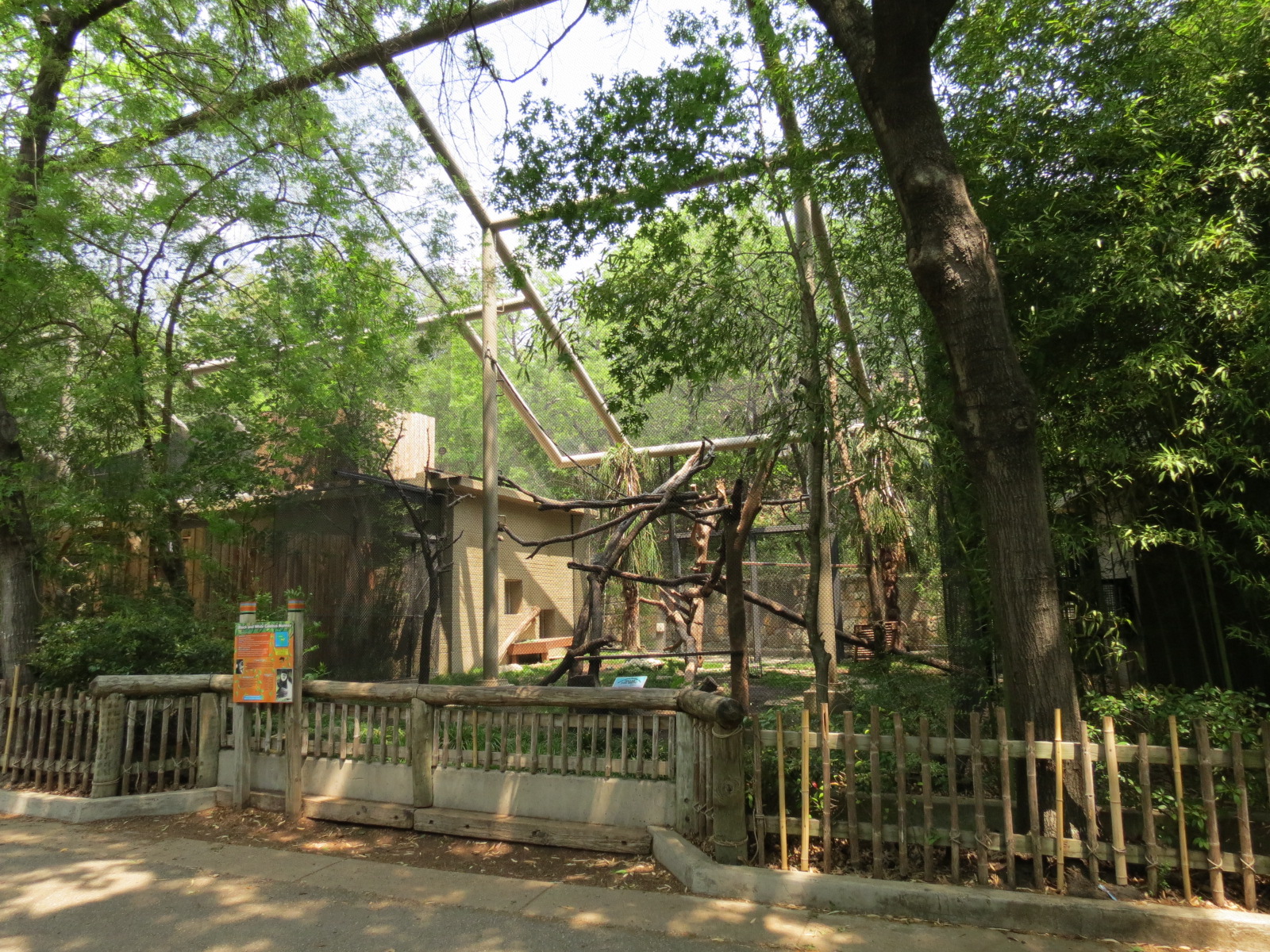 Primate Place - Black and White Colobus Monkey Exhibit