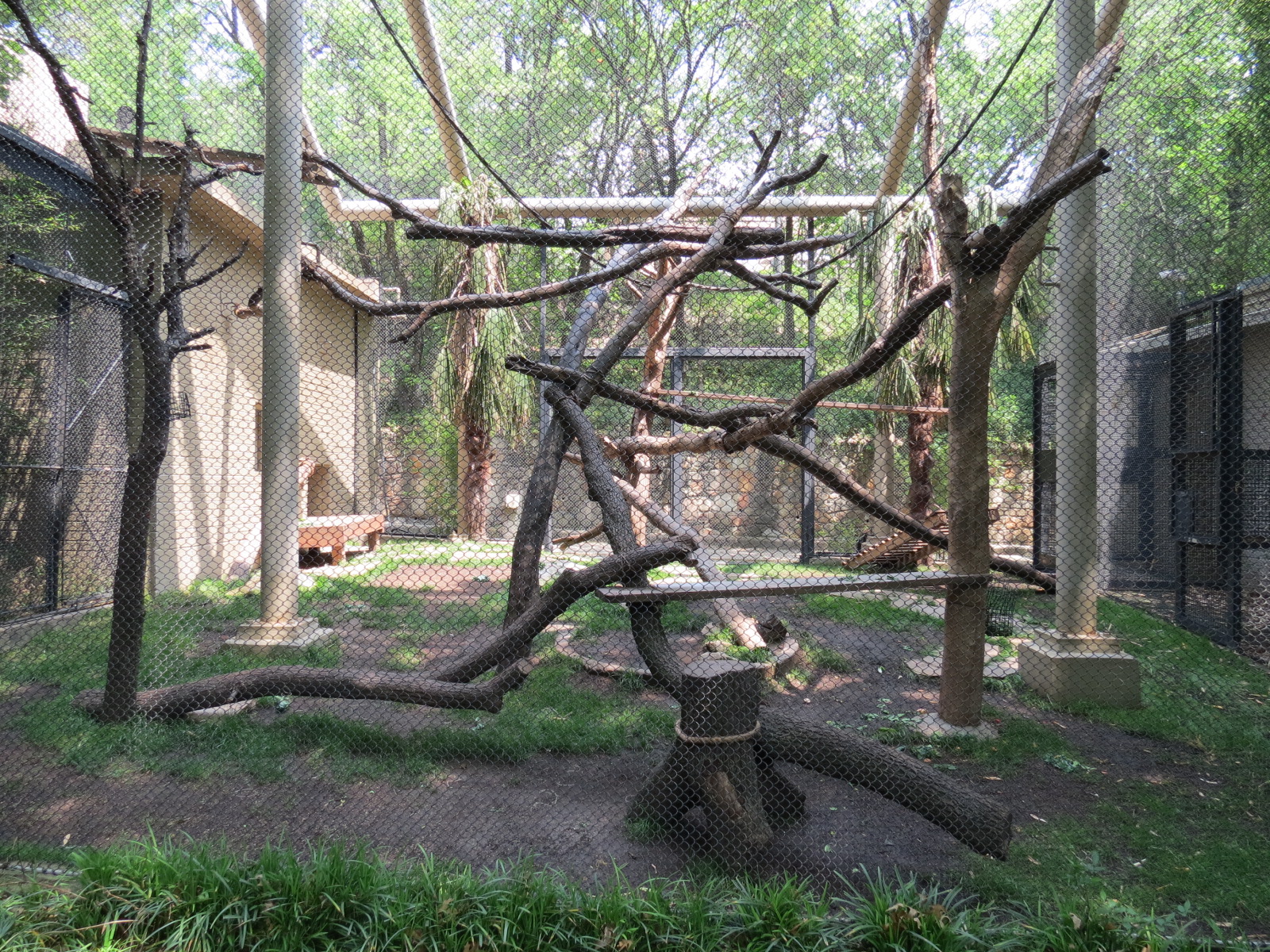 Primate Place - Black and White Colobus Monkey Exhibit
