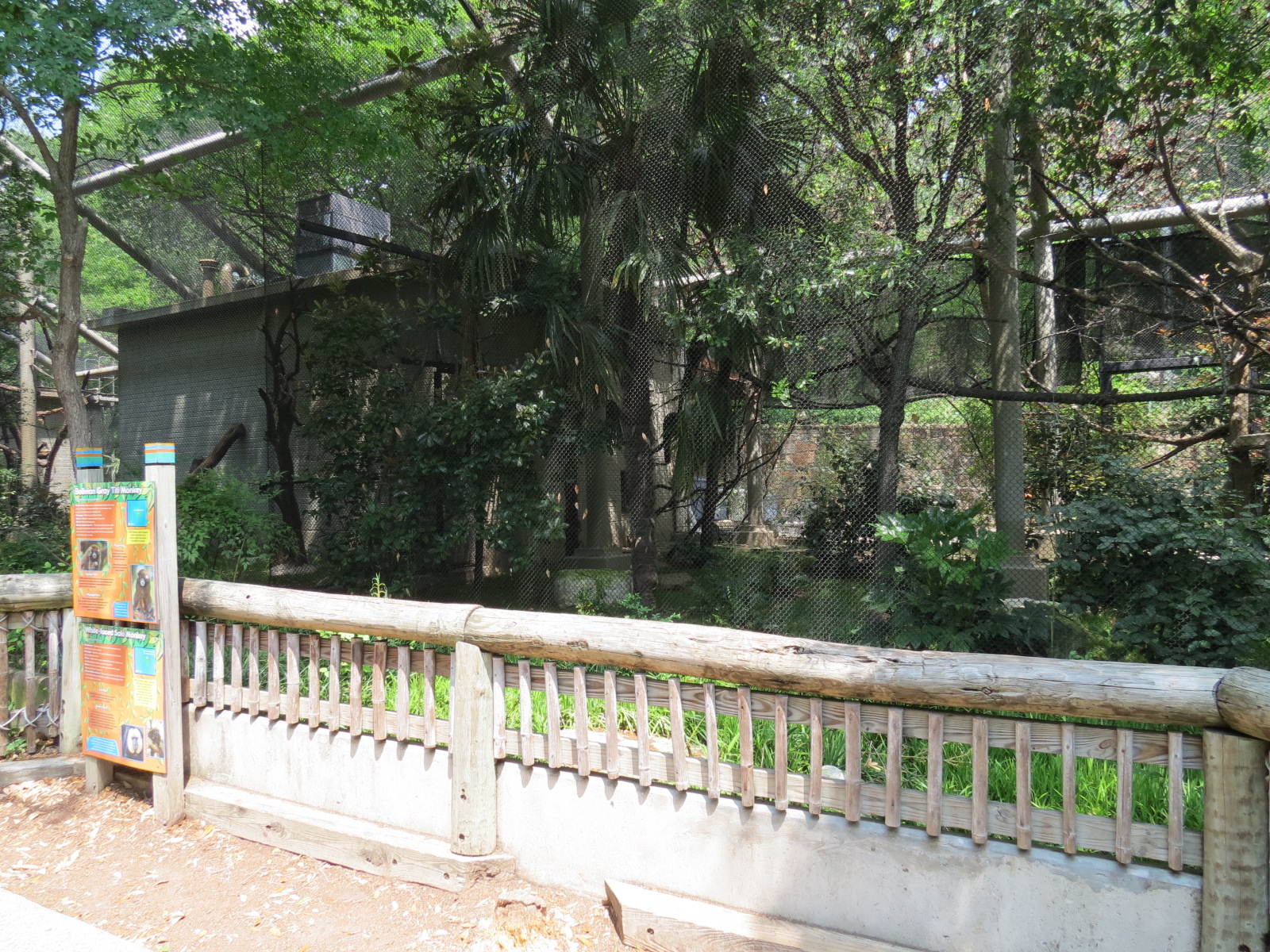 Primate Place - Bolivian Gray Titi Monkey and White-faced Saki Monkey Exhib