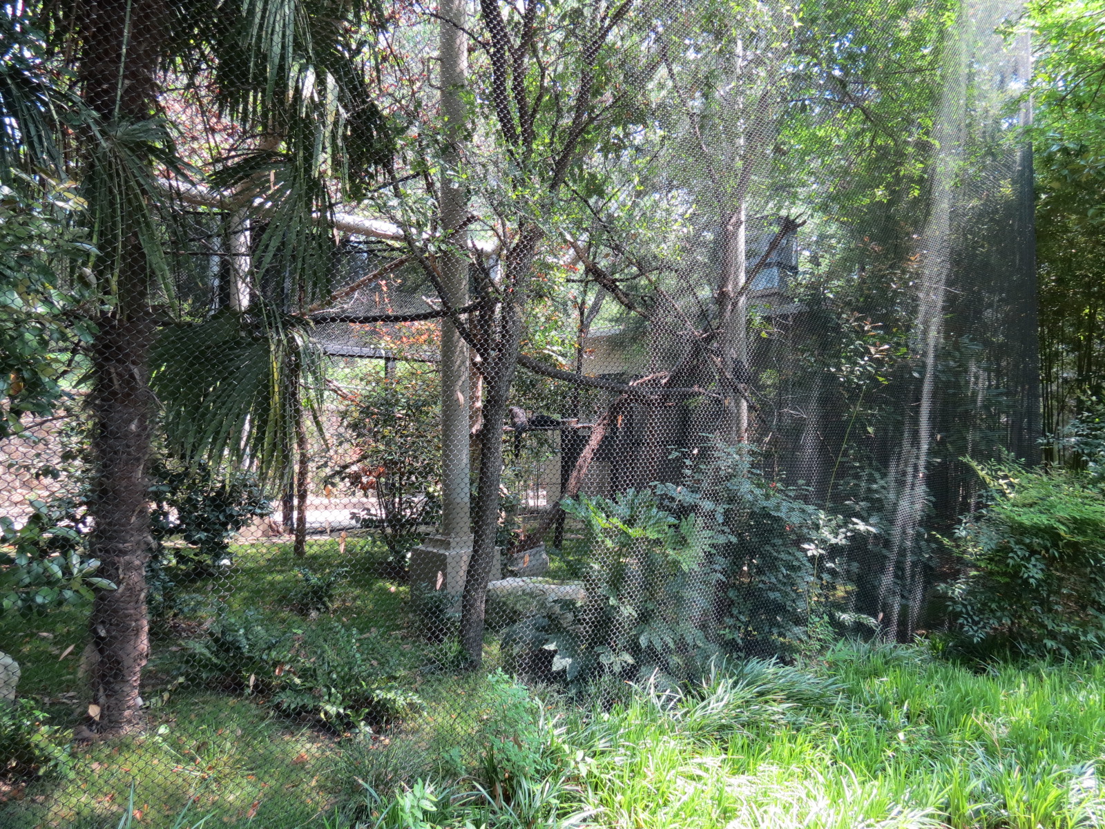 Primate Place - Bolivian Gray Titi Monkey and White-faced Saki Monkey Exhib