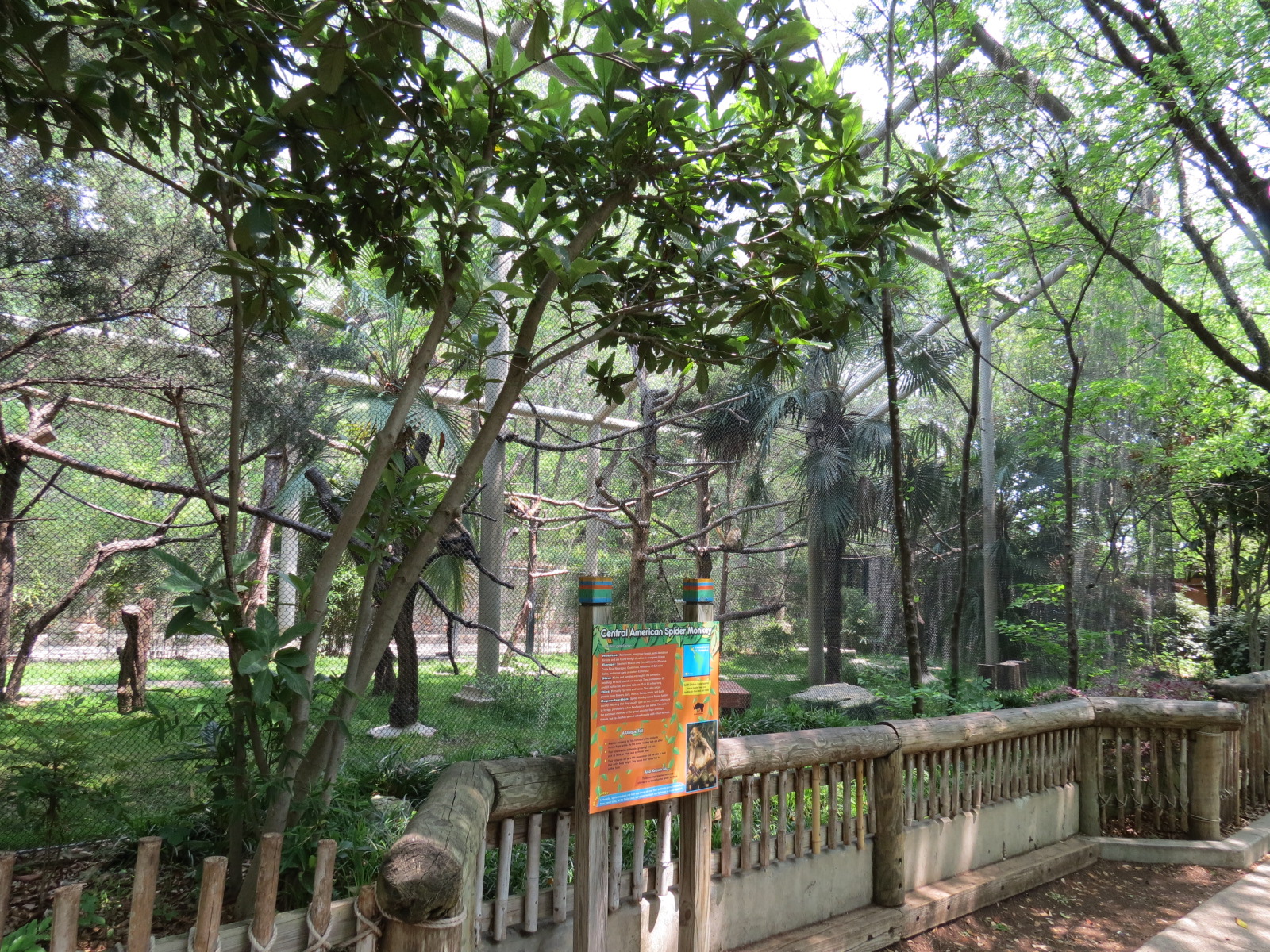 Primate Place - Central American Spider Monkey Exhibit