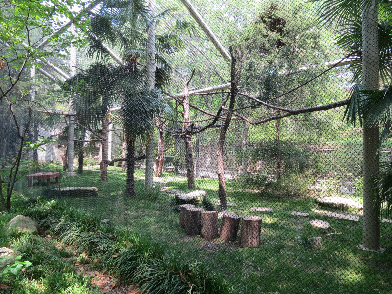 Primate Place - Central American Spider Monkey Exhibit