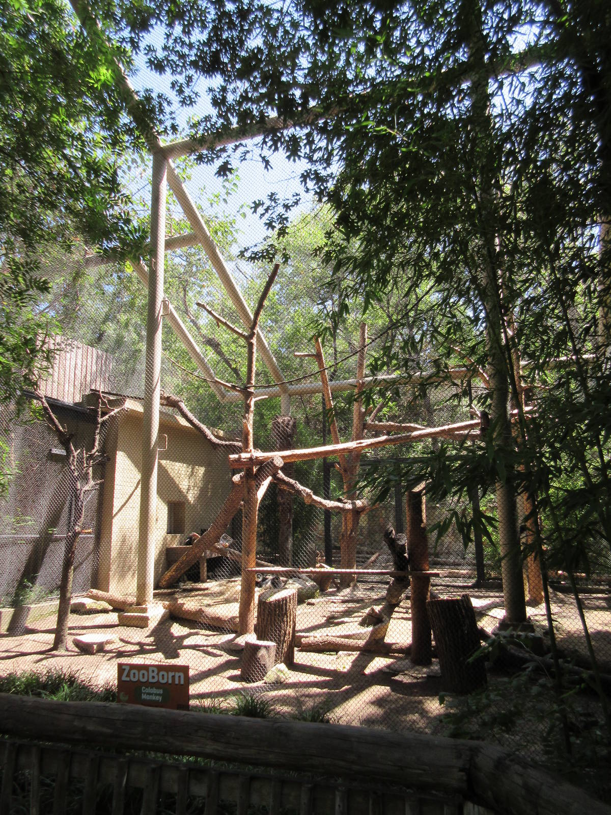 Primate Place - Colobus Monkey Exhibit