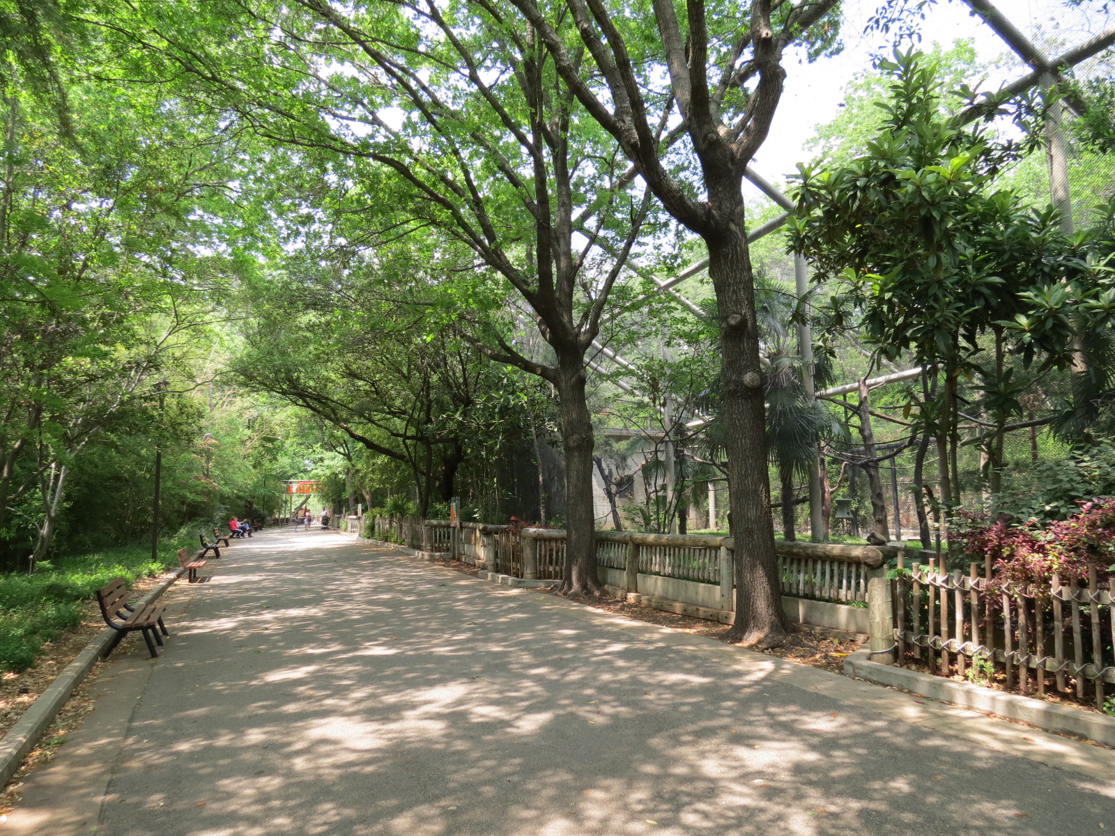 Primate Place - Walkway