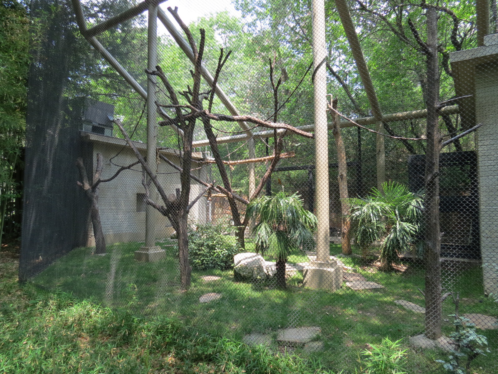 Primate Place - White-cheeked Gibbon Exhibit