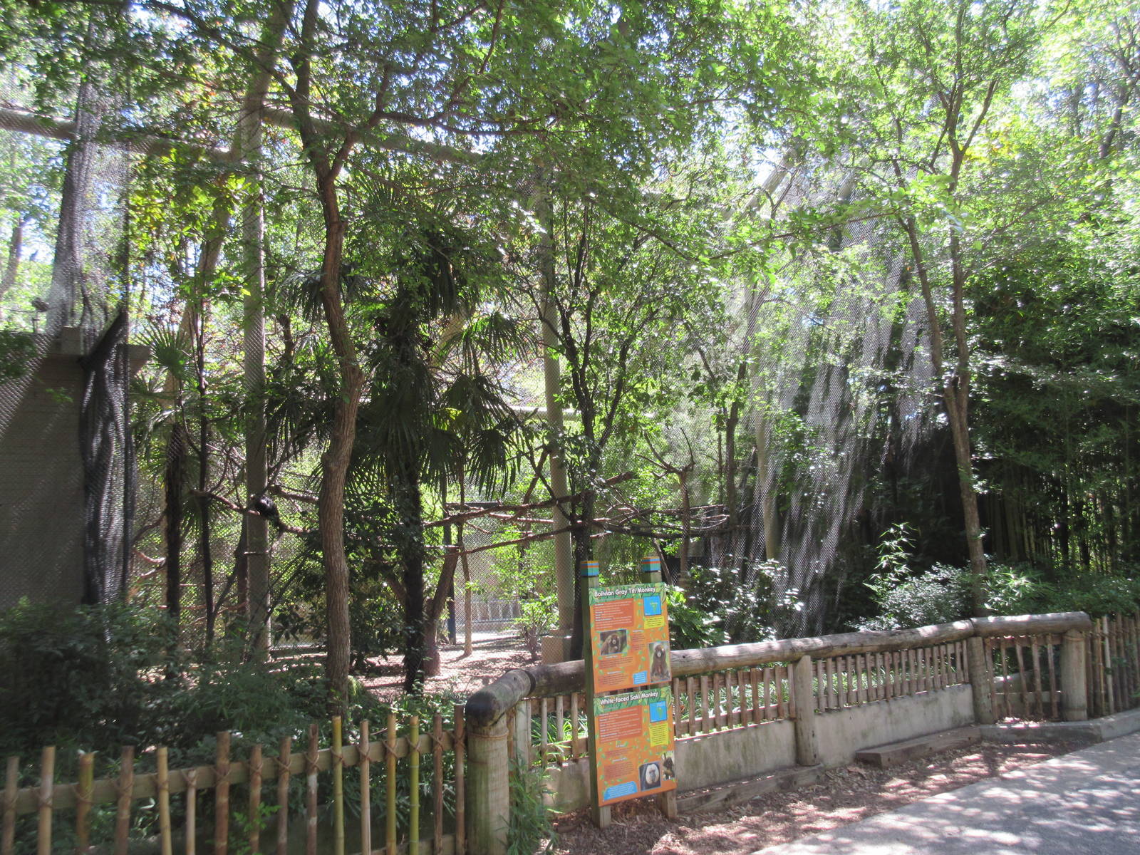 Primate Place - White-Faced Saki Monkey/Bolivian Grey Titi Monkey Exhibit