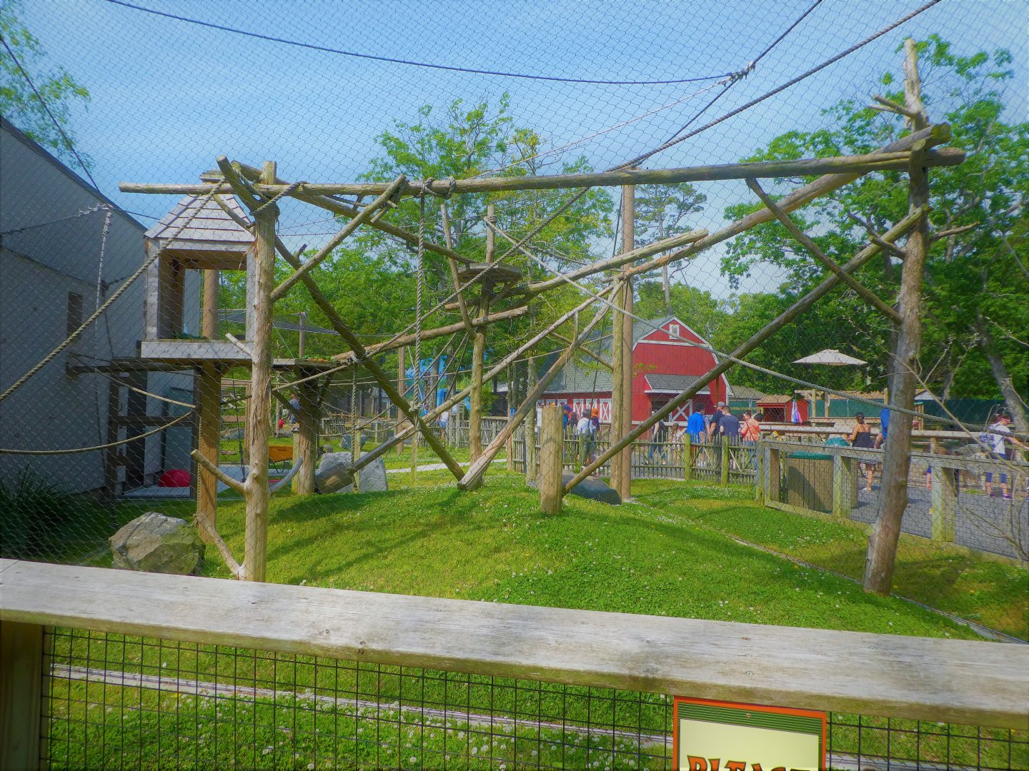 Primate Point - Black Howler Monkey Exhibit