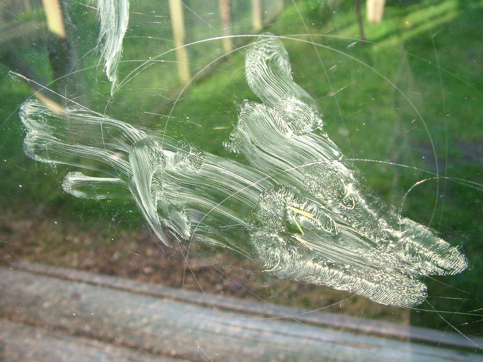 Primate print at Twycross 08/11/09