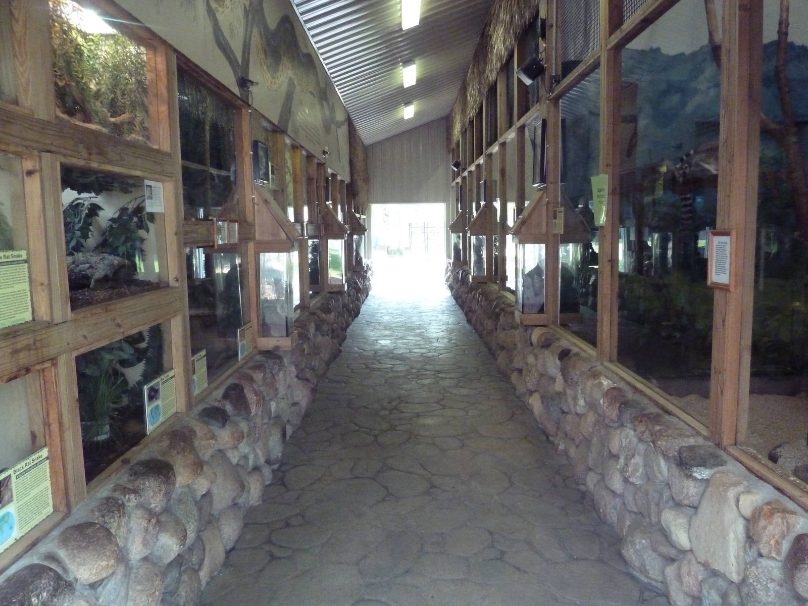 Primate + Reptile House