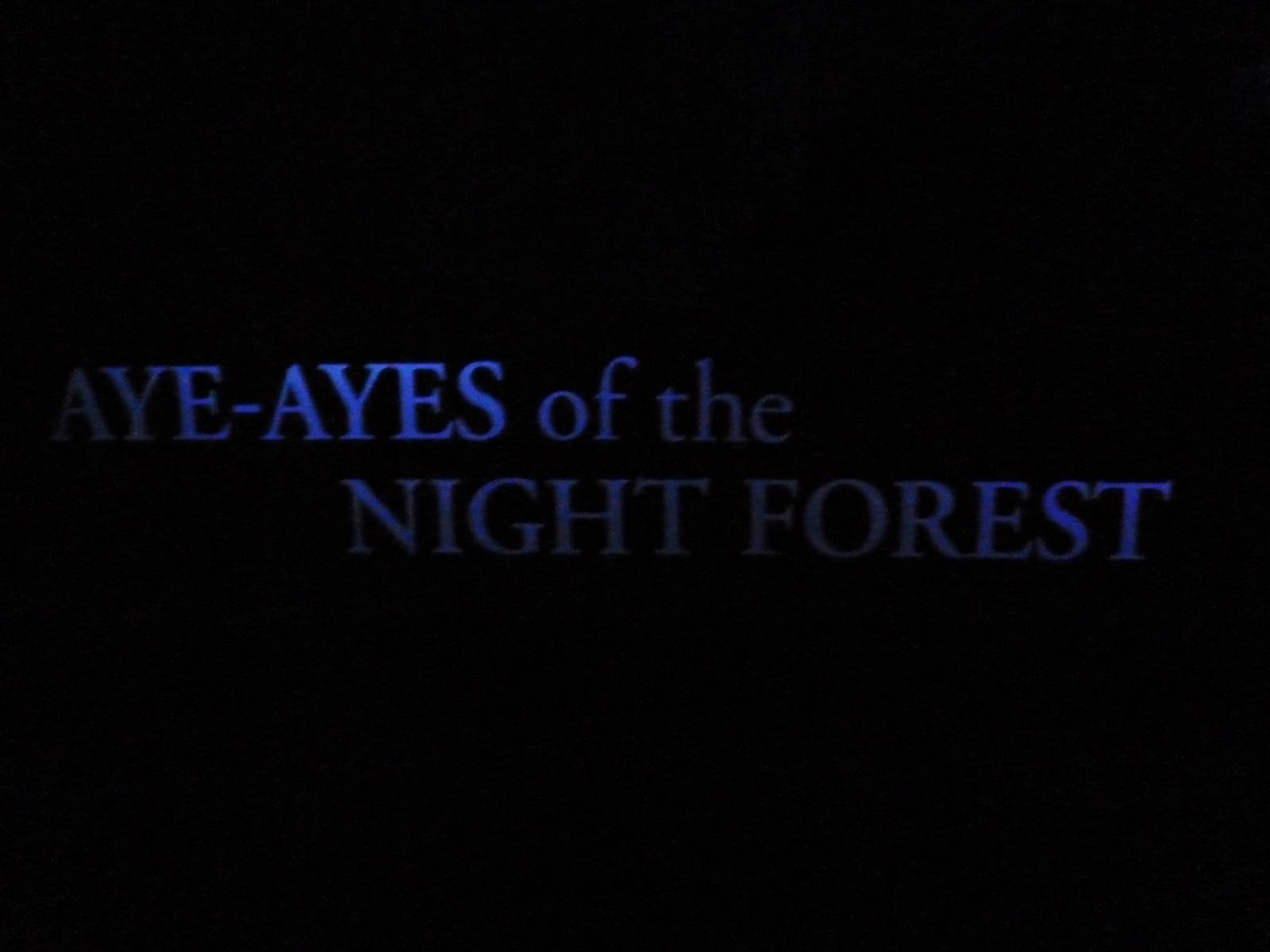 Primate Reserve - Aye-Aye Sign