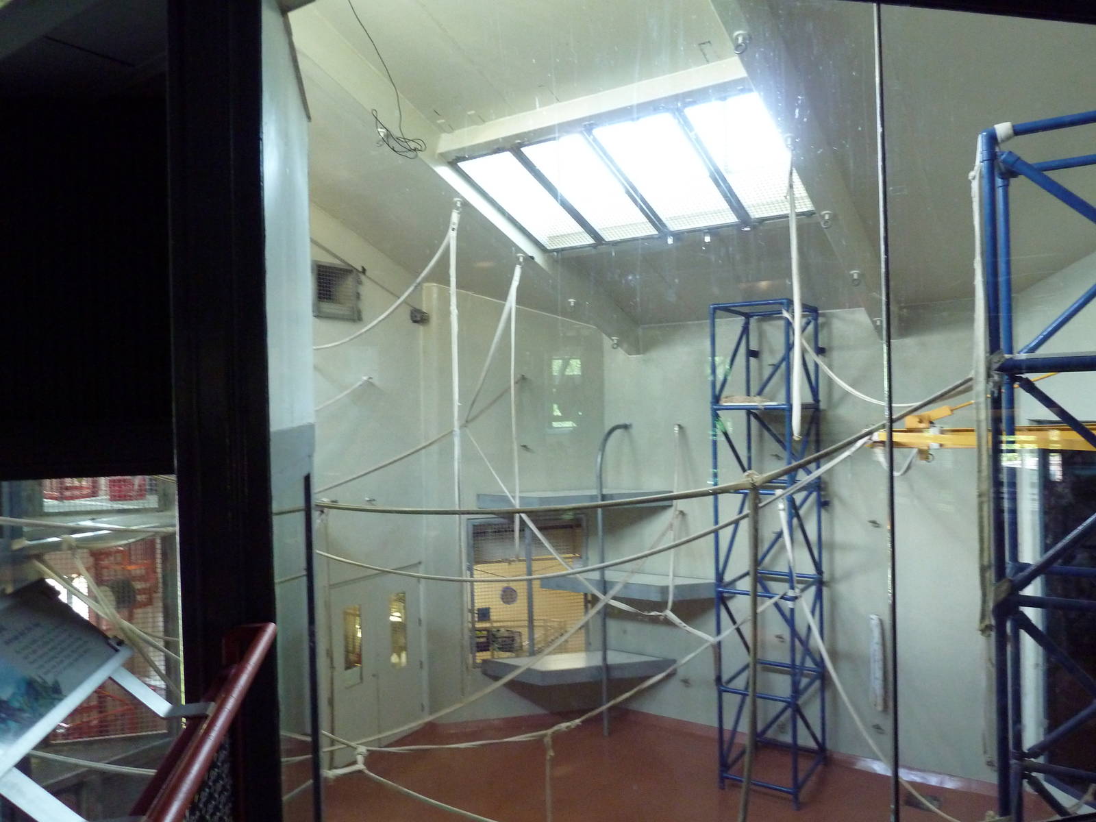 Primate Reserve - Colobus Monkey Exhibit