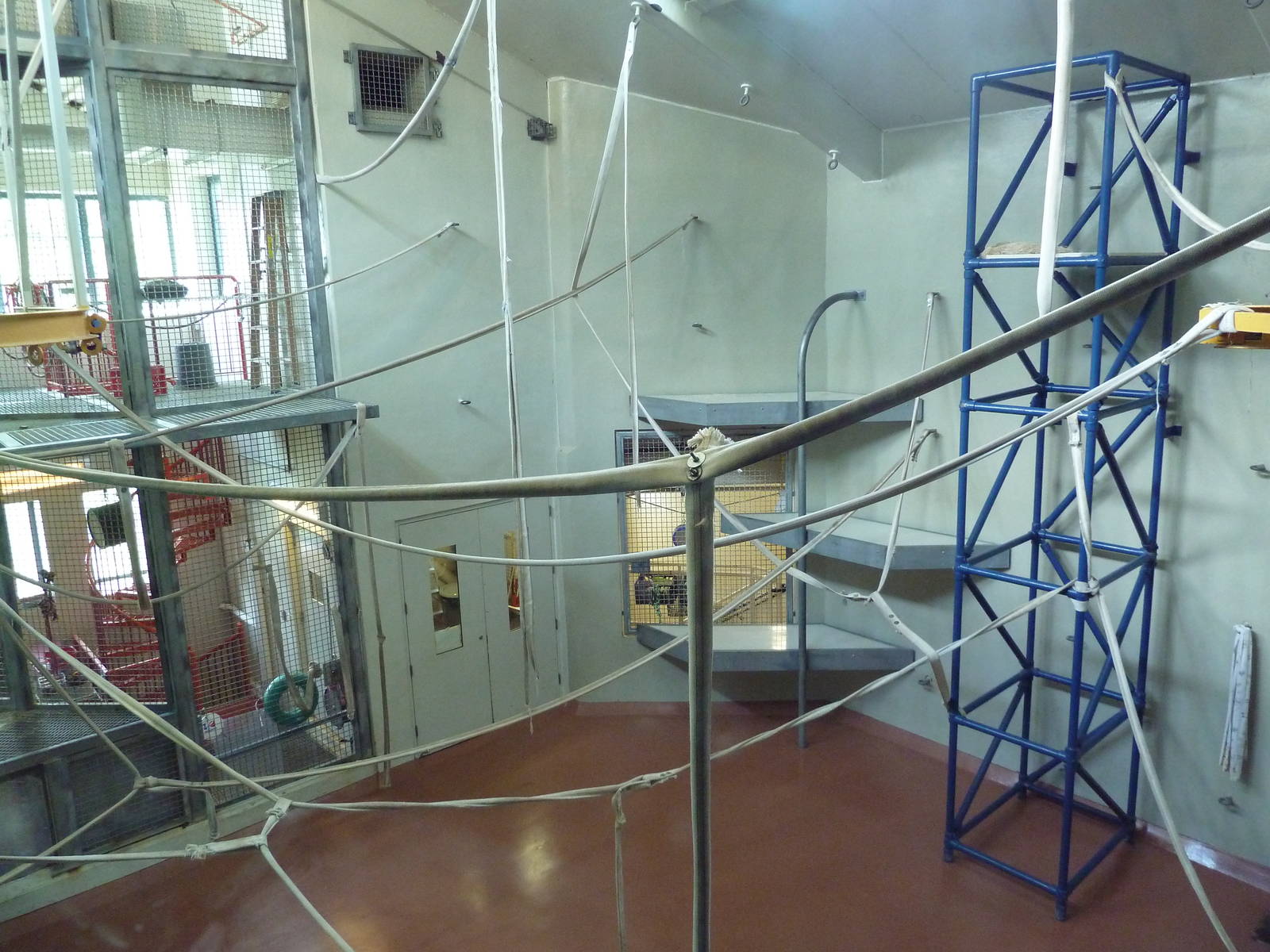 Primate Reserve - Colobus Monkey Exhibit