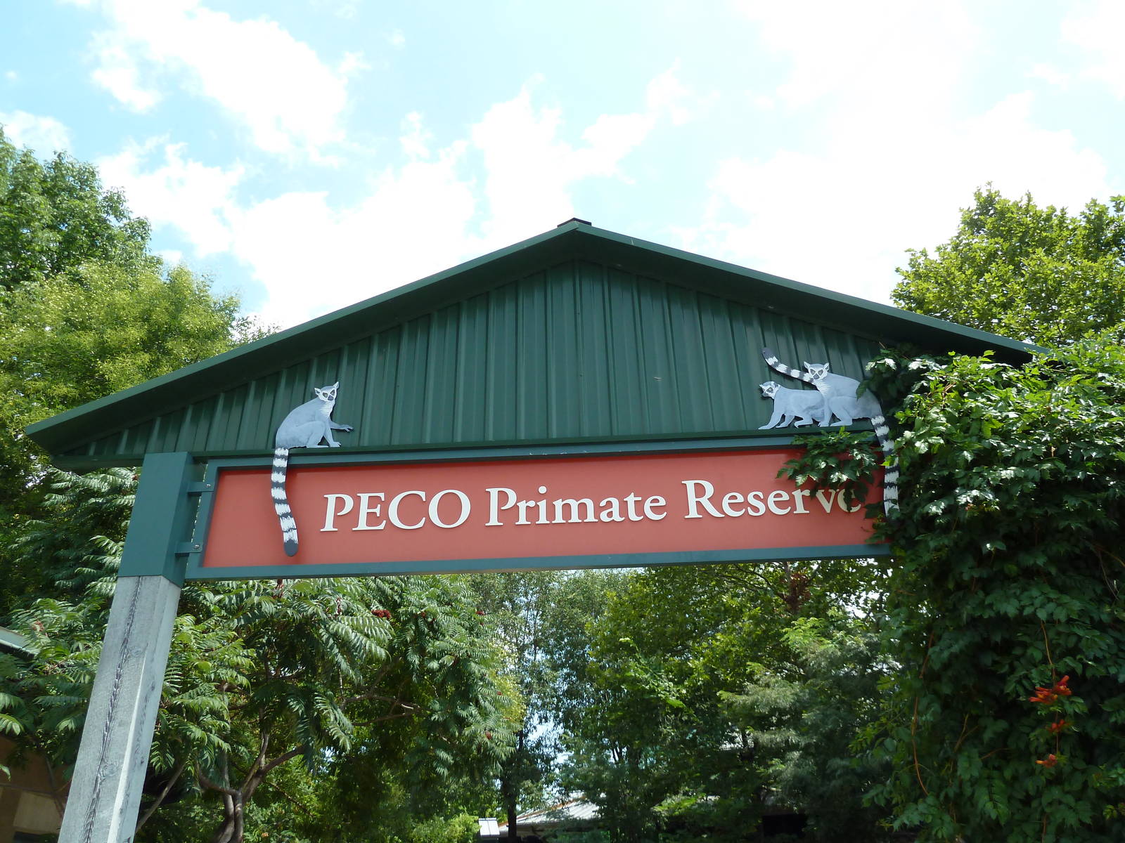 Primate Reserve - Entrance Sign
