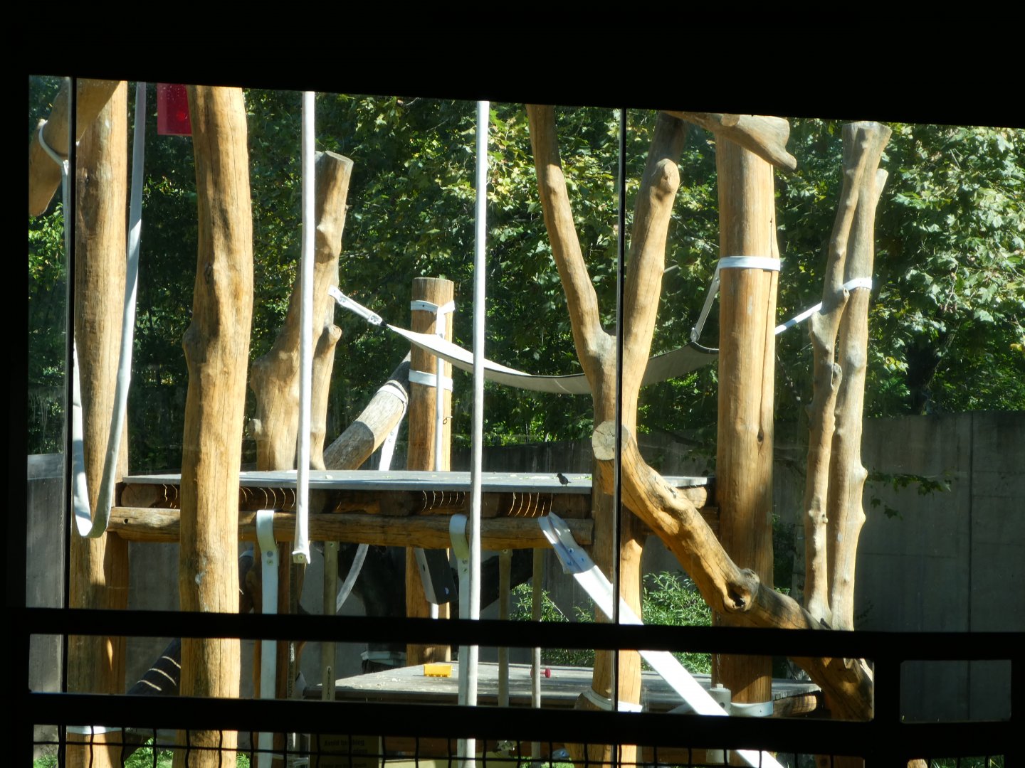 Primate Reserve - Gorilla Climbing Frame