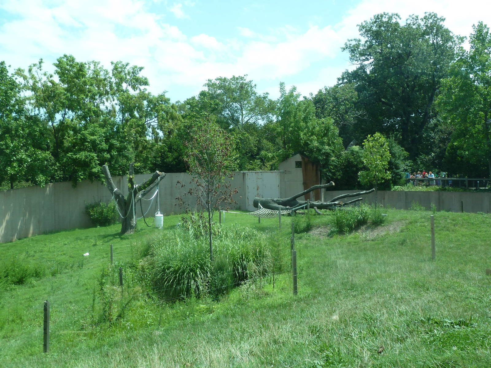 Primate Reserve - Gorilla Exhibit