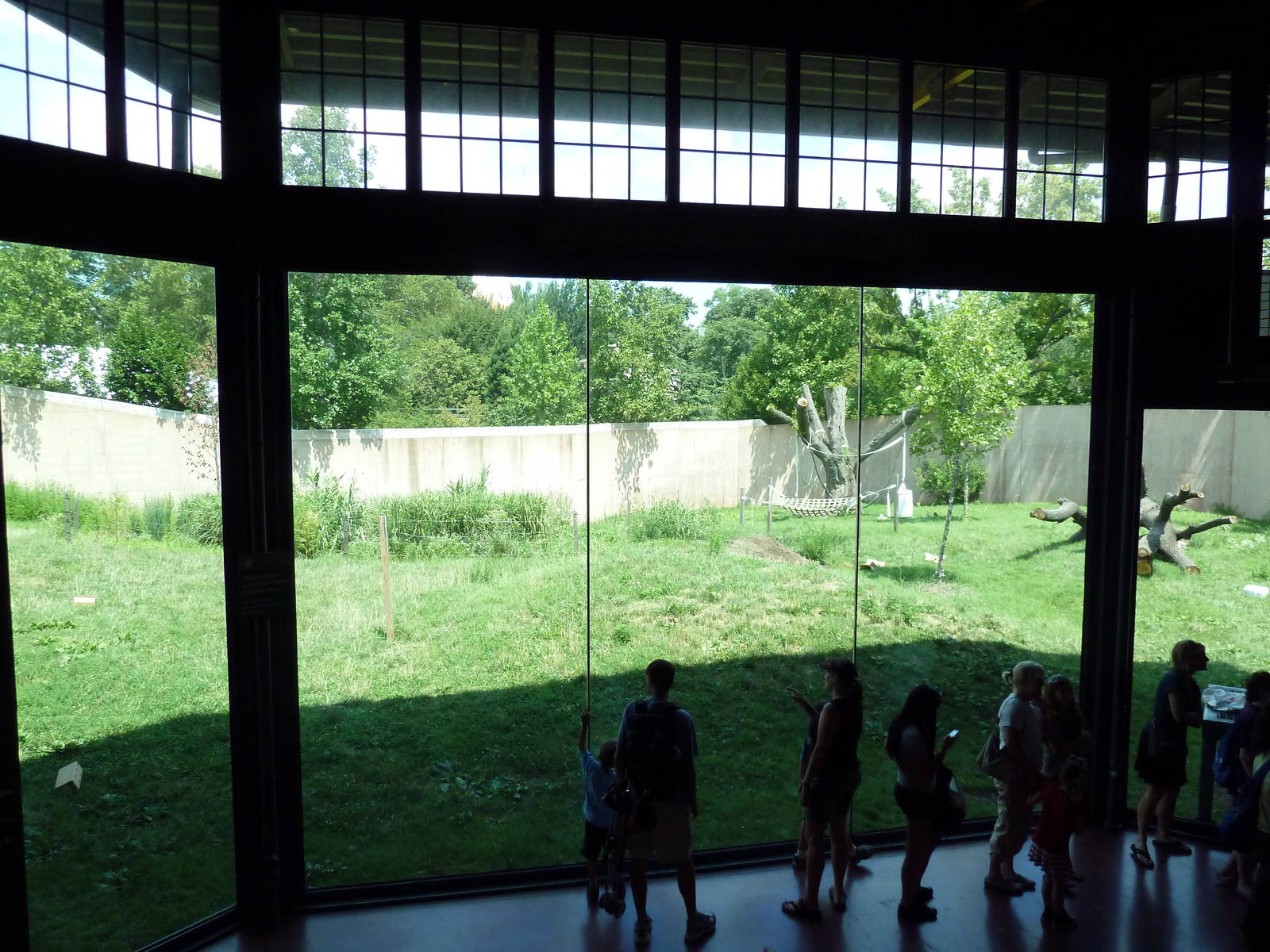 Primate Reserve - Gorilla Exhibit