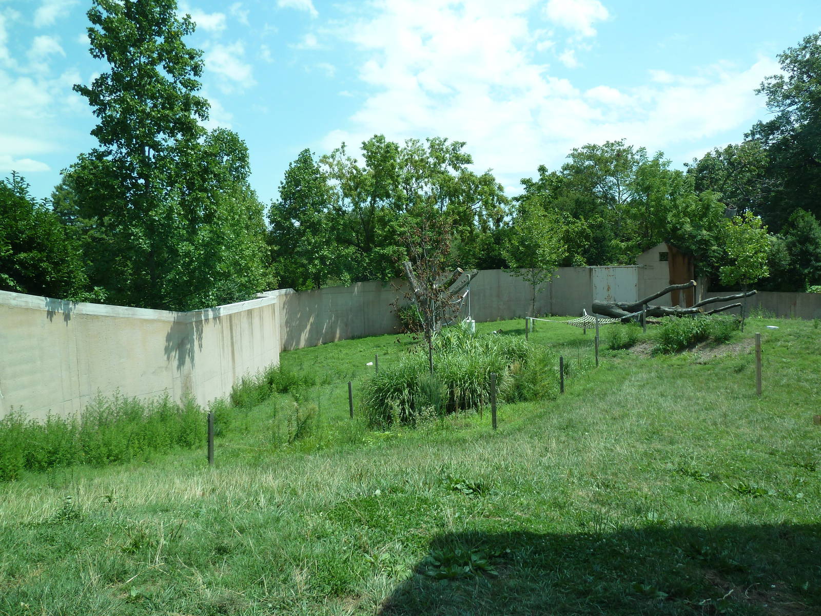 Primate Reserve - Gorilla Soccer Field