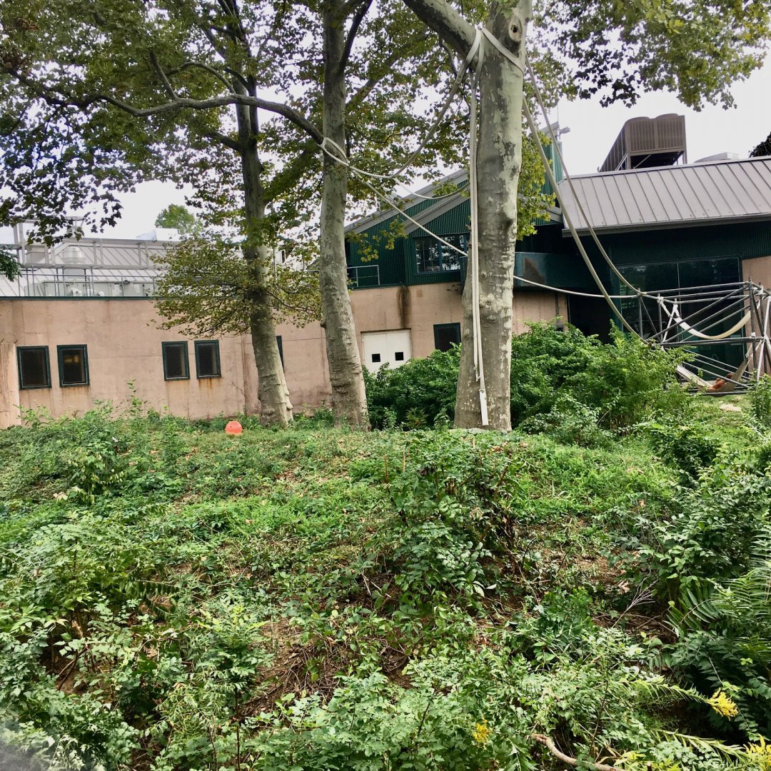 Primate Reserve - Lar Gibbon/Sumatran Orangutan Exhibit