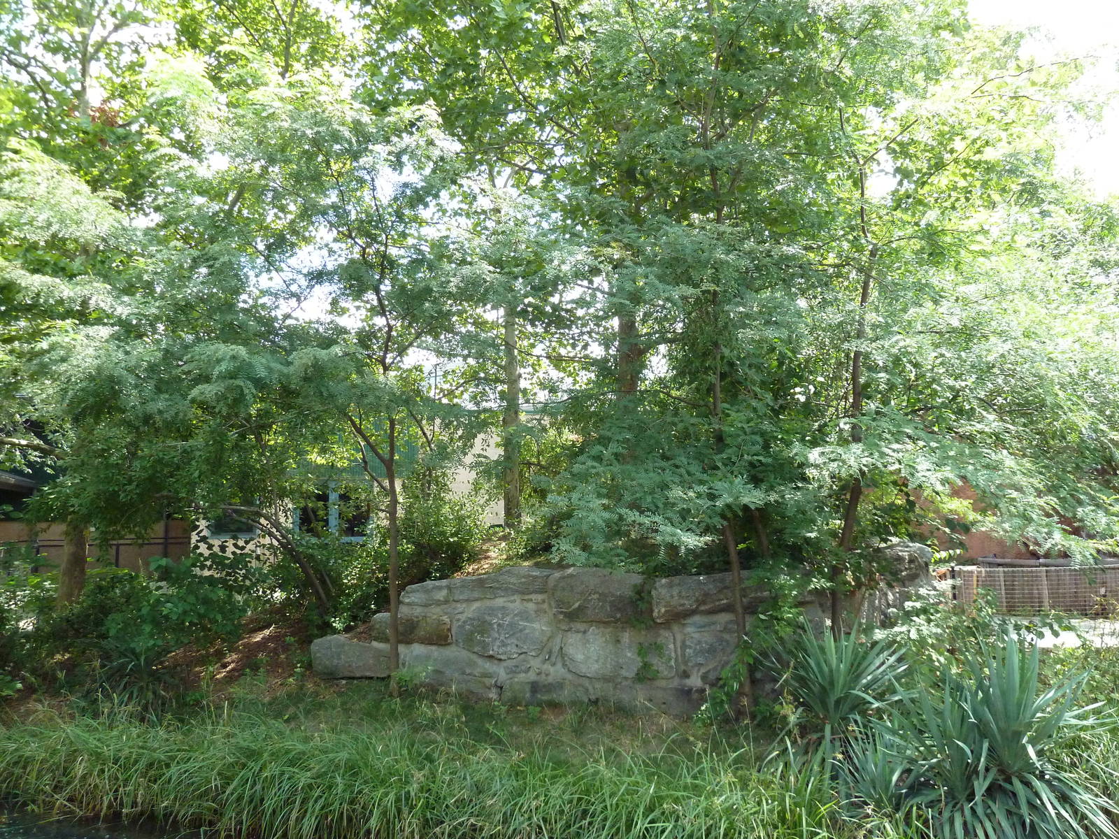 Primate Reserve - Ring-Tailed Lemur Exhibit