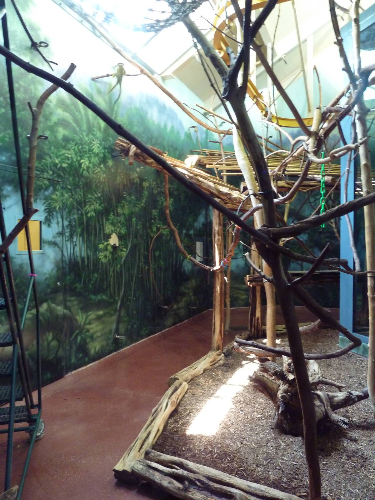 Primate Reserve - Spectacled Langur Exhibit