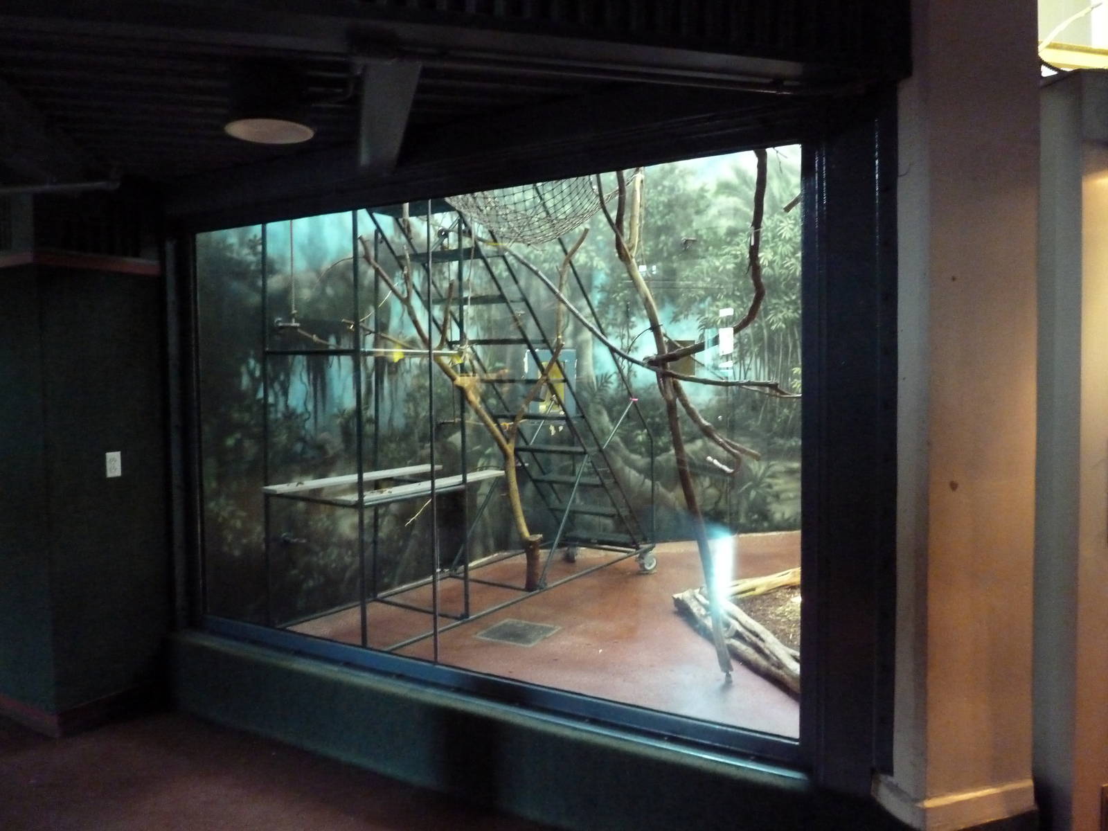 Primate Reserve - Squirrel Monkey Exhibit