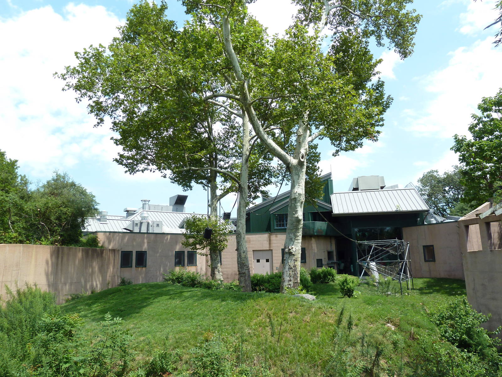 Primate Reserve - White-Handed Gibbon/Sumatran Orangutan Exhibit