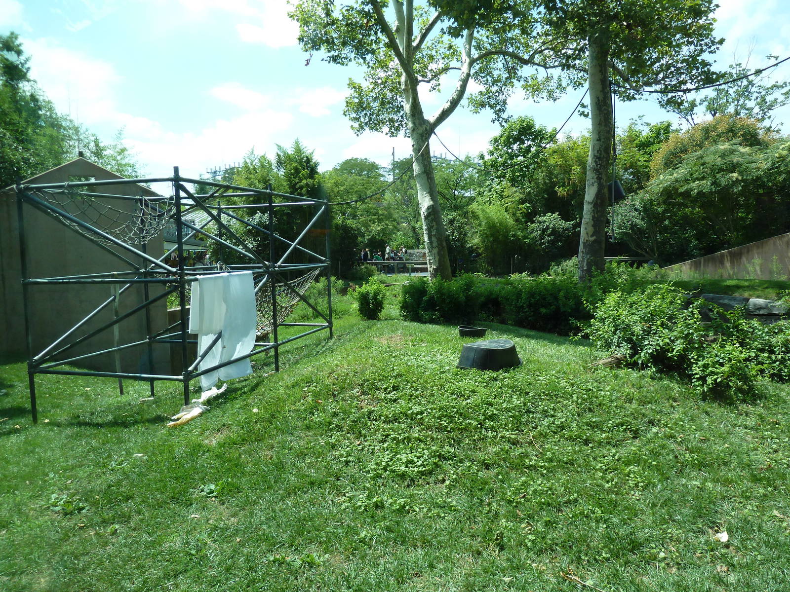 Primate Reserve - White-Handed Gibbon/Sumatran Orangutan Exhibit