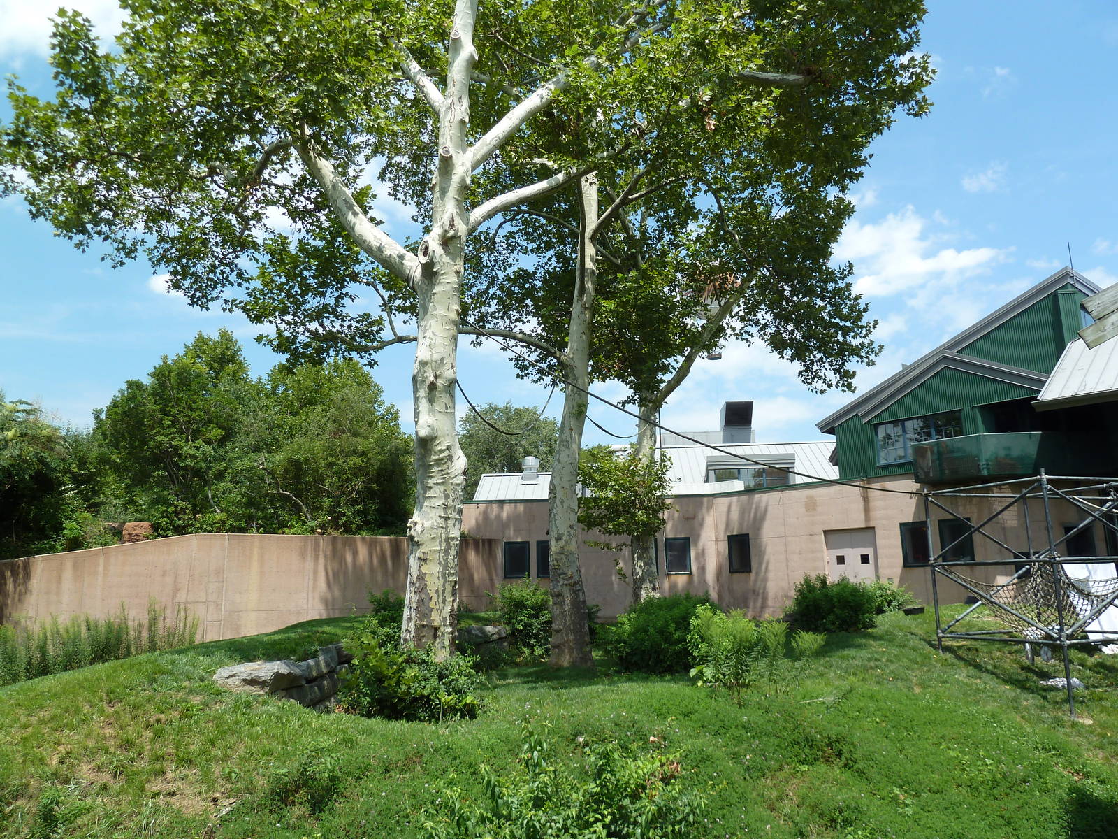 Primate Reserve - White-Handed Gibbon/Sumatran Orangutan Exhibit