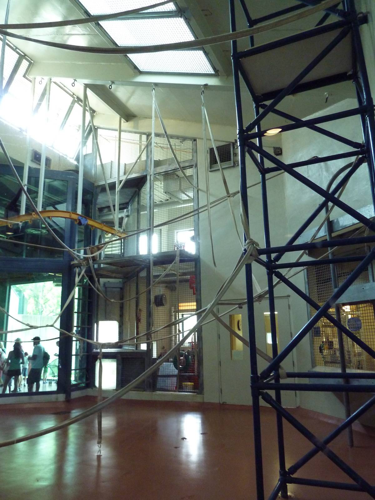 Primate Reserve - White-Handed Gibbon/Sumatran Orangutan Indoor Exhibit