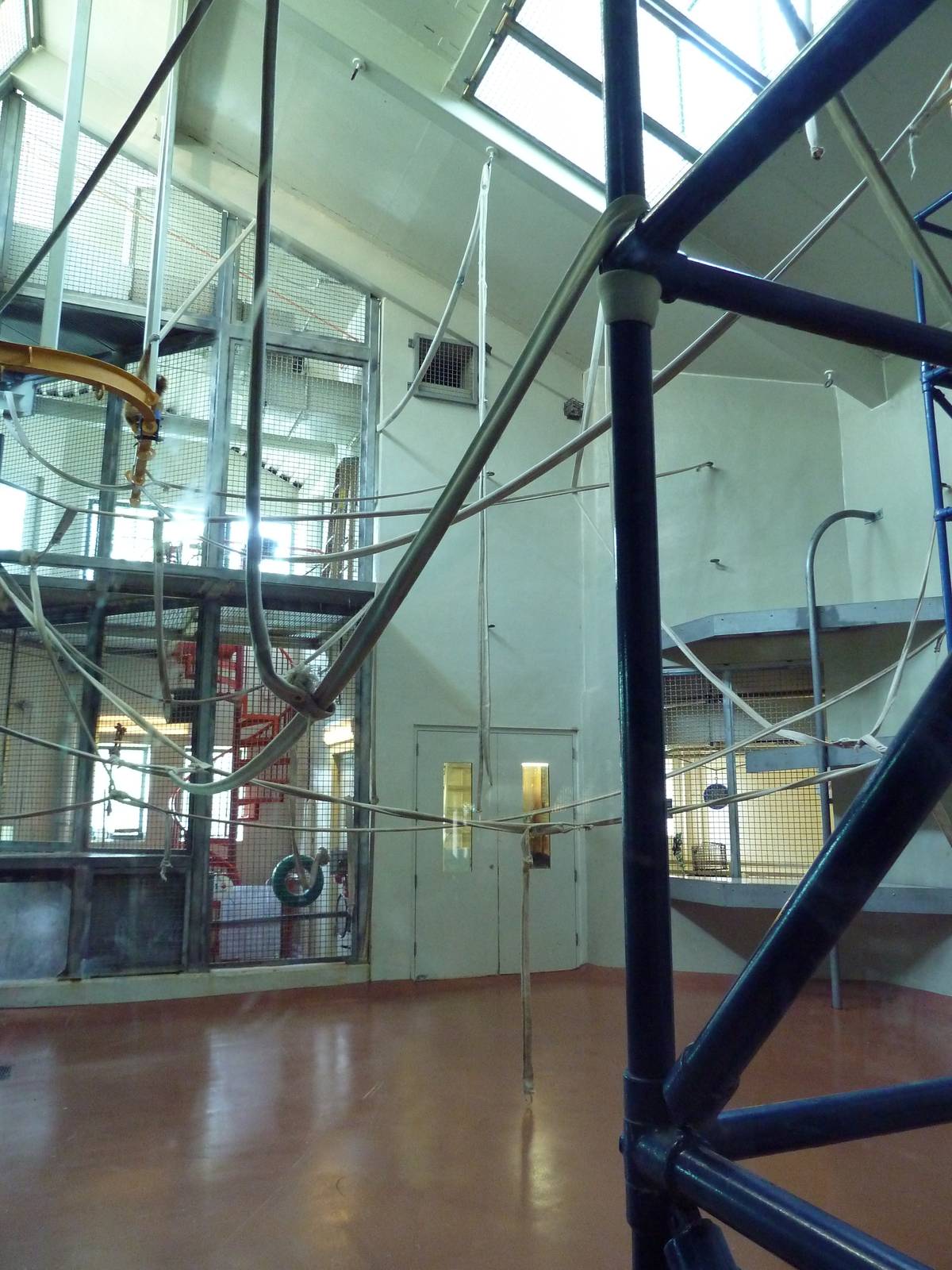 Primate Reserve - White-Handed Gibbon/Sumatran Orangutan Indoor Exhibit