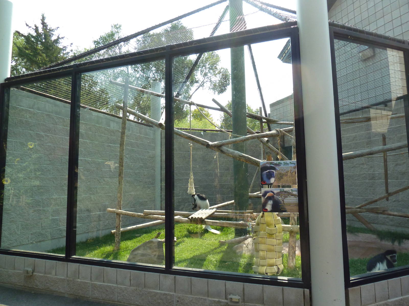 Primate Rotational Exhibit