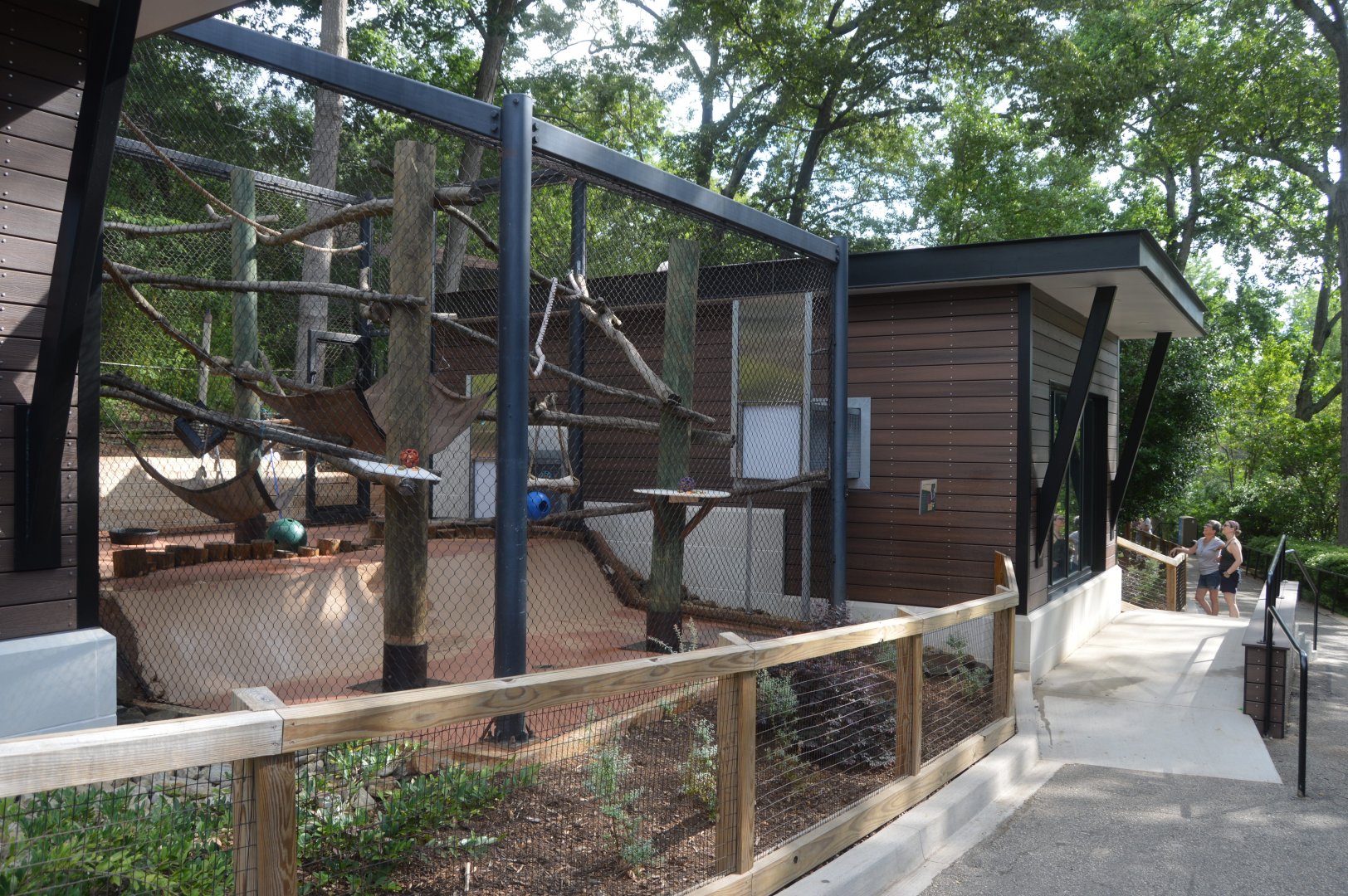 Primate Row - Black-and-white Ruffed Lemur (Varecia variegata) Exhibit