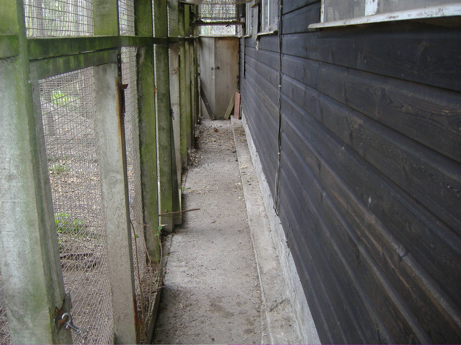 Primate Service Tunnel Animalarium