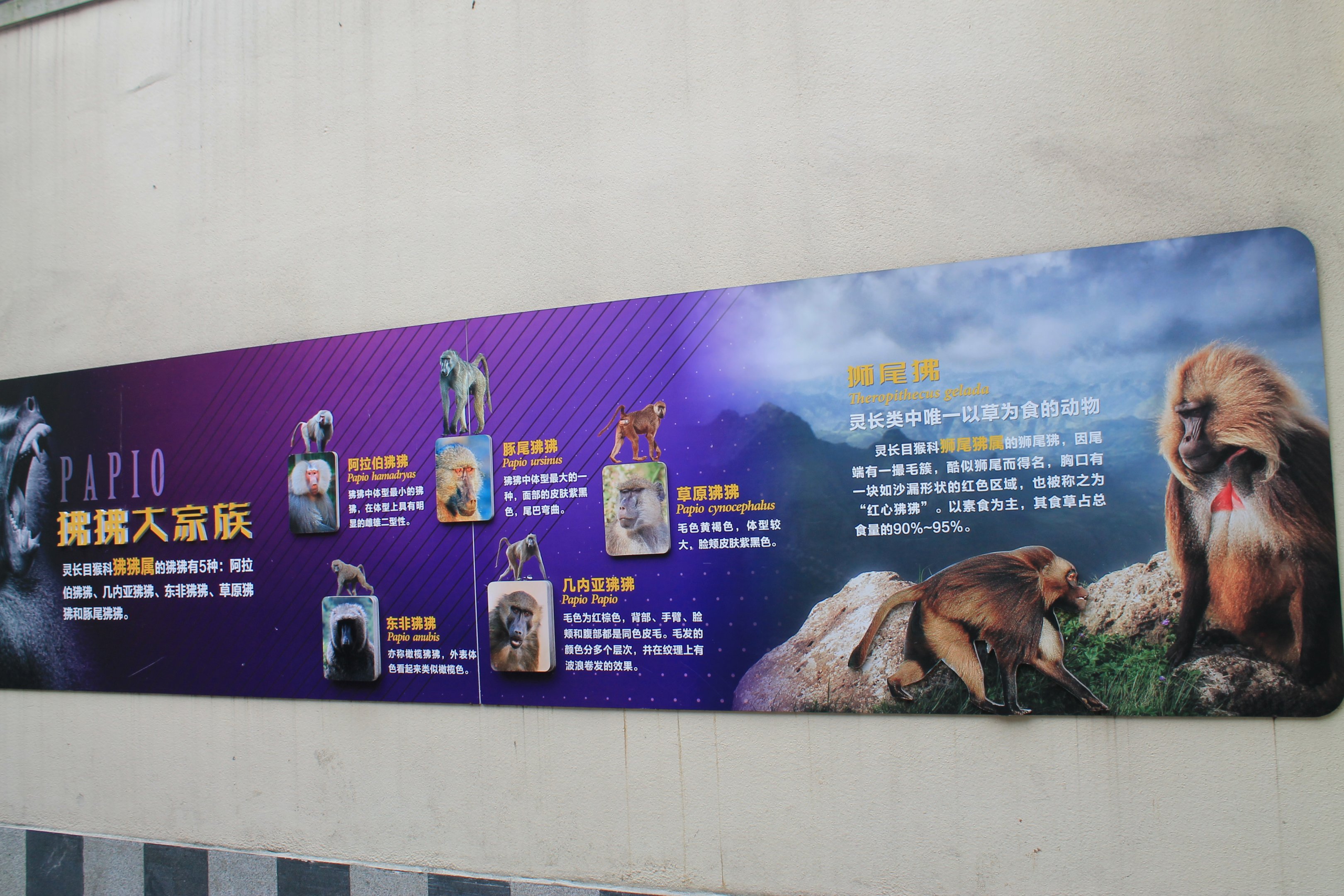 Primate signage (baboons)