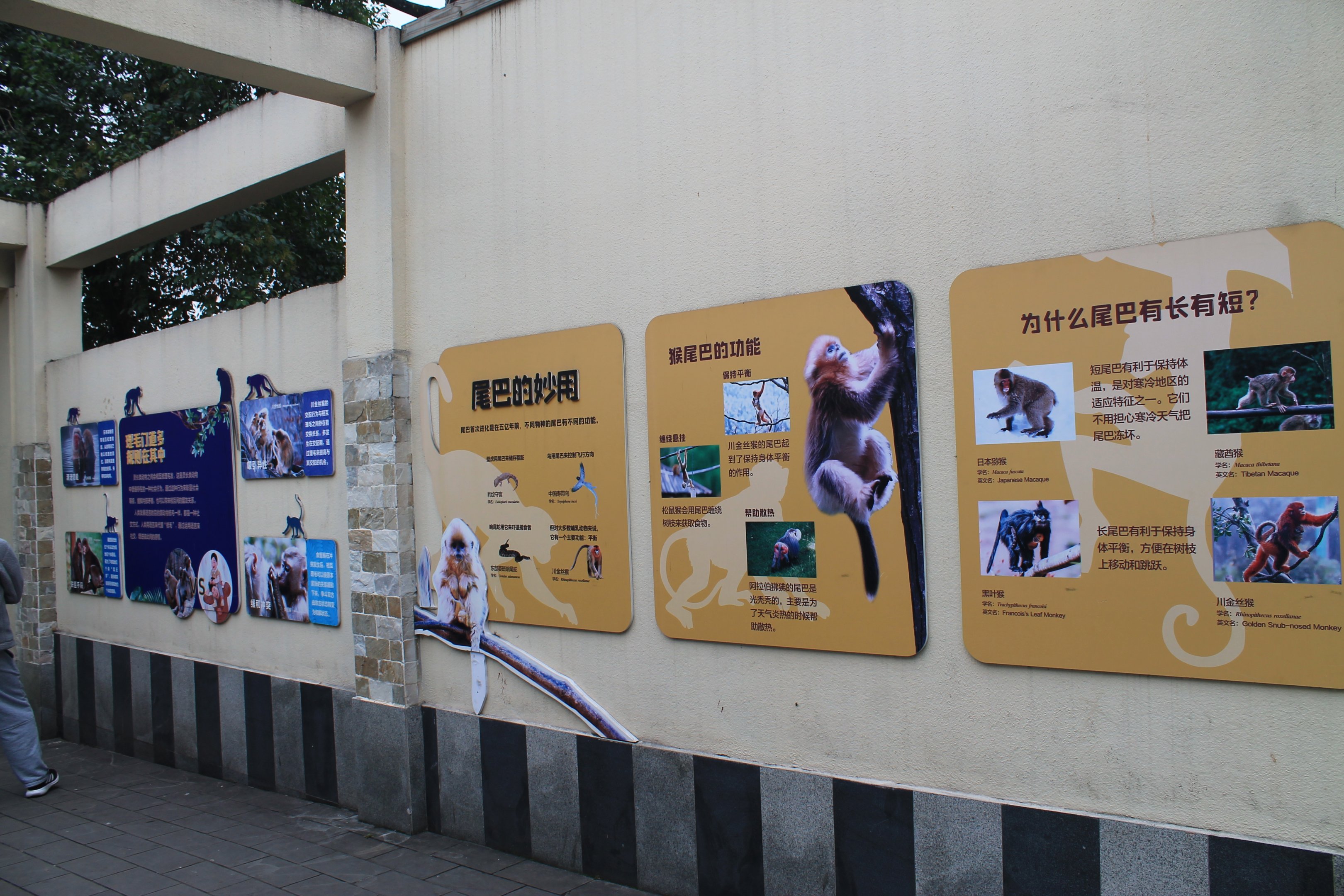 Primate signage (macaques)