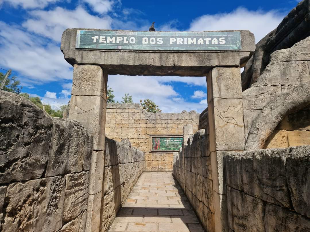 Primate Temple