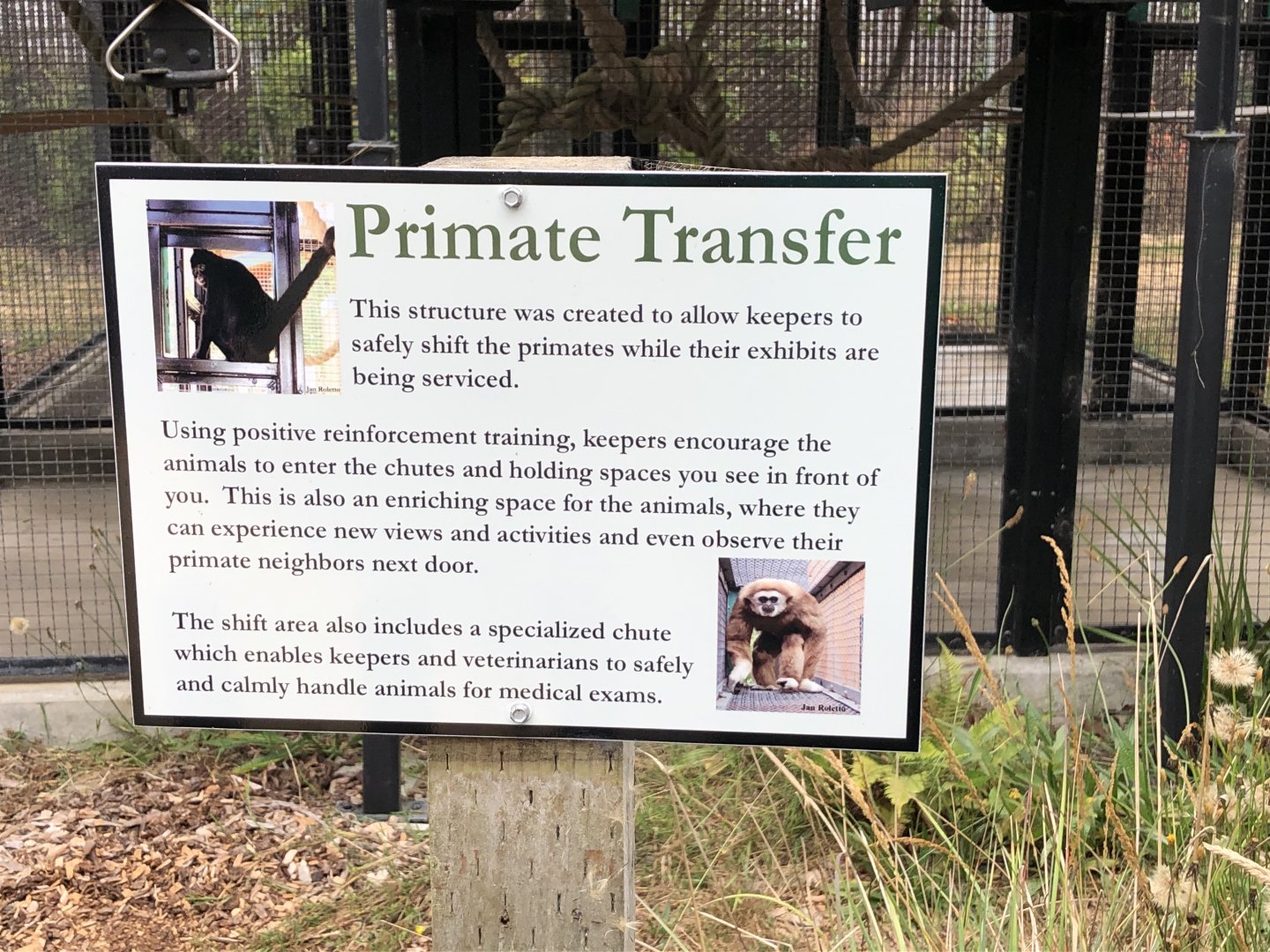 Primate transfer signage