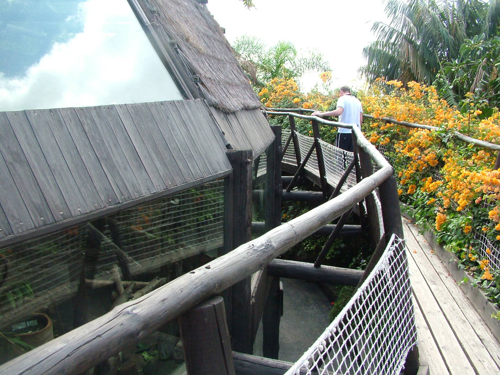 Primate Viewing Walkway at Jungle Park (Las Aguilas), 13/11/10