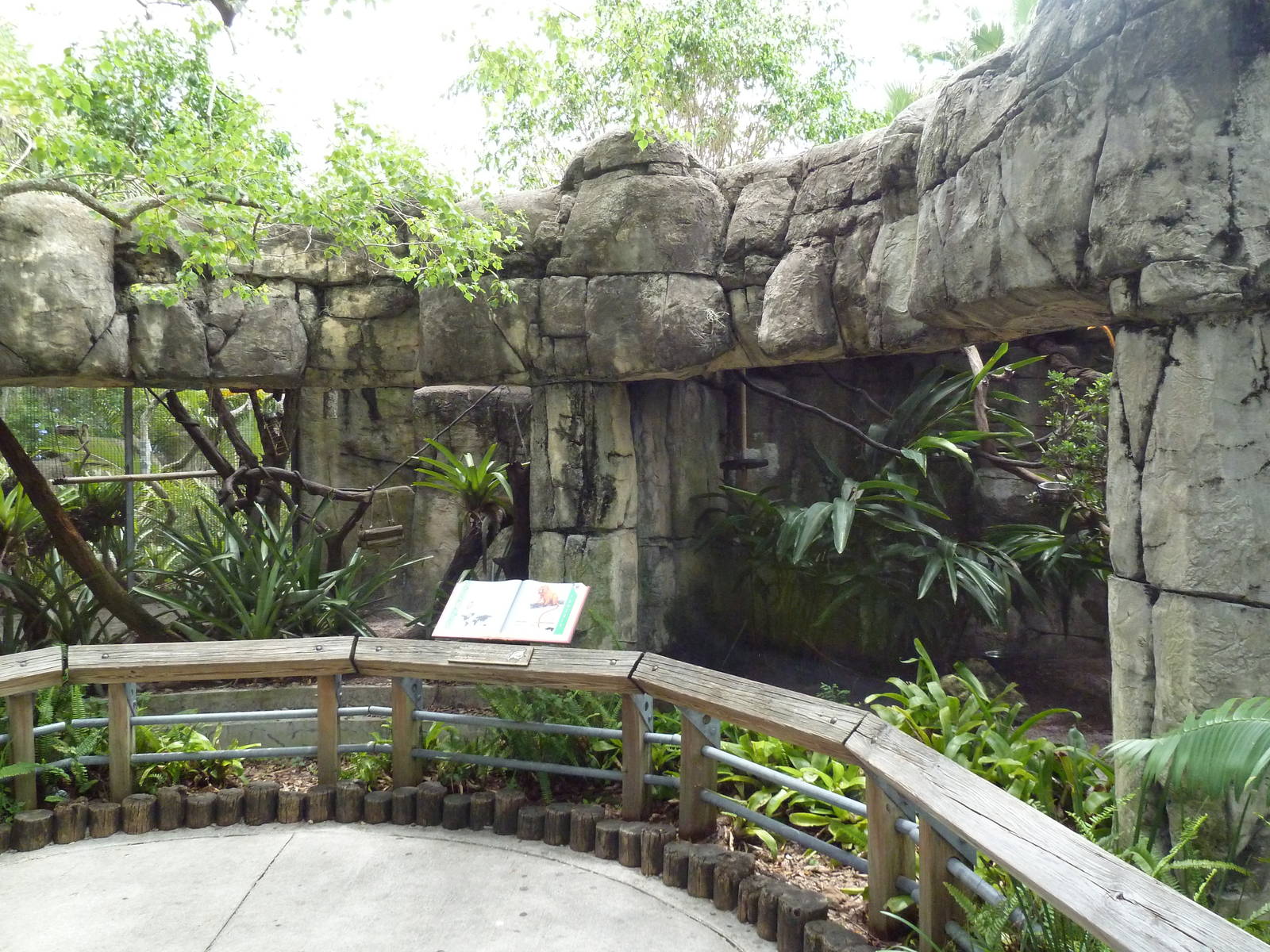 Primate World - Bolivian Grey Titi Monkey + Golden Lion Tamarin Exhibits